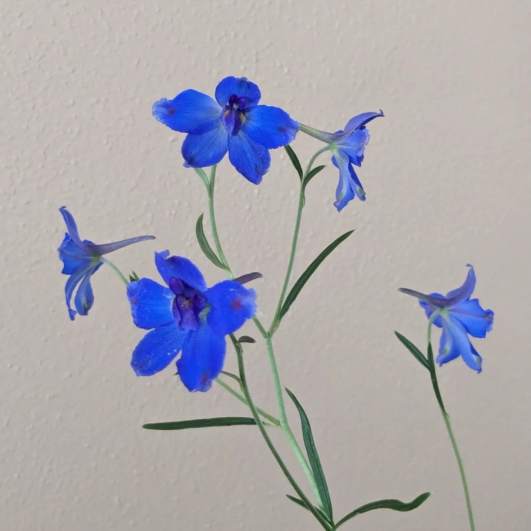 Repost from our friend @eneevs! ✨Tonight was the last night of our Artist And - Summer Camp. One of the things we did tonight was write individual pieces and then combine lines from our pieces with pieces from other writers. We had 15 minutes and it was quick, but exhilarating. Anyway, here’s the short piece created by Rose, Kate, and myself. 💛💛💛
~
Bare now your voice
In the cleft of my clavicle
Where generations touch
Sitting uniquely in the veil
~ ra kh en
#artistand #collaborate #writingtogether