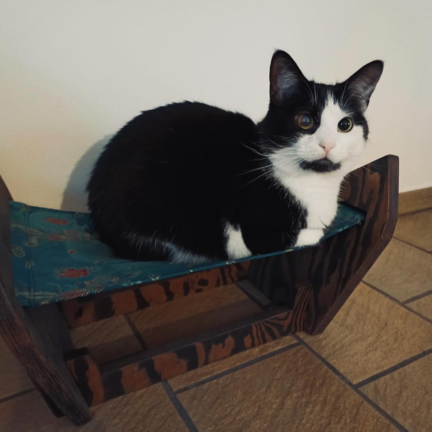 > Happy Customers!
Look at how happy ‘Jeanke’ is when he found the best place in the house, hanging out in the bespoke cat sofa/cat hammock made out of european Pine wood!
#woodworking #yamaca #bespoke #catsofa #catluxury #recycle #hammock #cat #eco #pine #catsofinstagram #craftmanship #design #purr #catlovers #gato #cathammock #chat #luxurycat #feline #jeanke #interieur #cattube #catfurniture