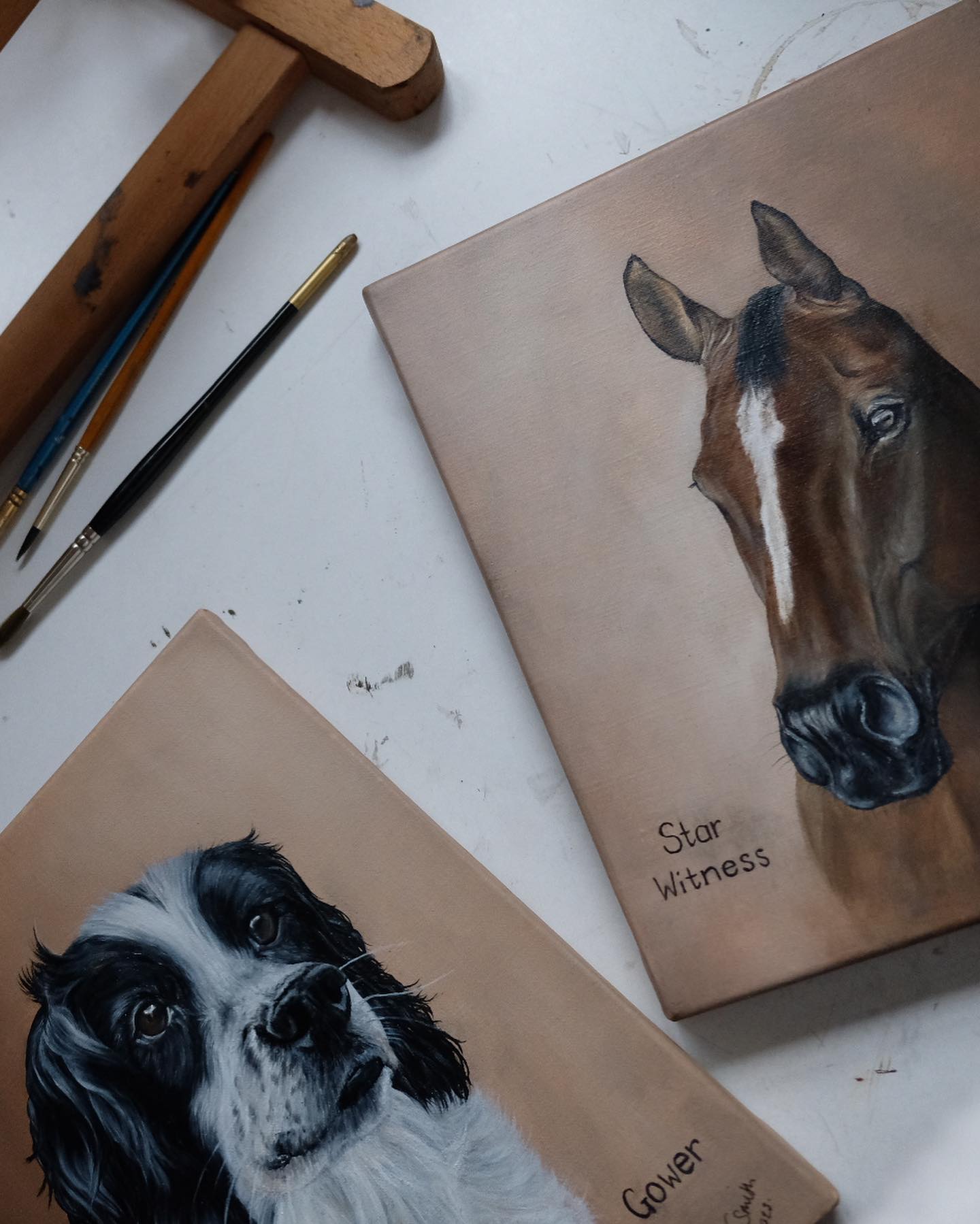 A very special duo! It was a privilege to capture these two on canvas for Tina Cook as a gift to her mother. Her beloved spaniel Gower, and her dearest event horse Star Witness who is now in retirement. Thank you for commissioning me to create such a special birthday present!
Oil on canvas (8x10”)