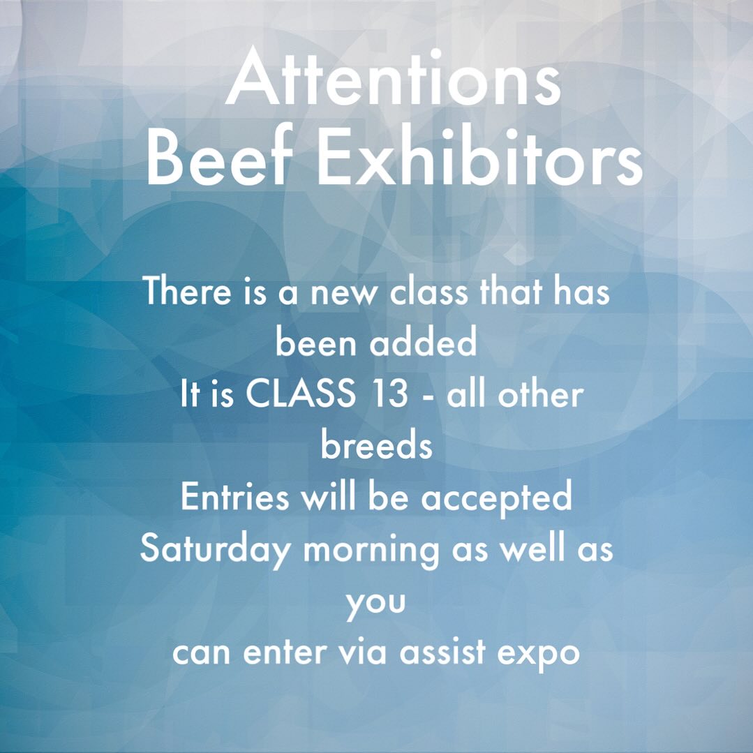 Our beef show is proud to announce that we have added a new class!!