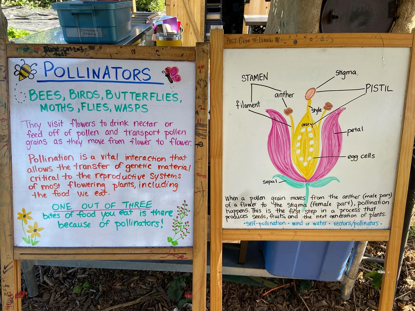 👦👧 Through our Grow-to-Learn Curriculum-Linked Workshops, we’re enhancing the educational experience for thousands of young students each year. We believe in the power of outdoor, experiential learning. #Education #ExperientialLearning #PACT