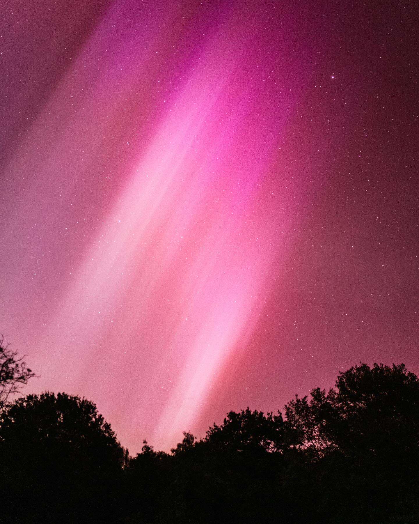Die Polarlicht Aktivität ist immer noch hoch und auch heute Abend kann man mit Glück welche sehen! Deswegen hier ein paar Tipps zum beobachten von Polarlichter in Deutschland . ✨
1. ladet euch Apps wie Aurora runter und richtet ein Warnsignal ein, wenn der KP Index über 6 steigt. In unserem Fall haben wir dann immer bisher welche gesehen.
2. Polarlichter sieht man Richtung Norden. Also immer schön nach Norden sehen!
3. Nicht jedes menschliche Auge kann diese Farben wahrnehmen und wenn auch noch lange nicht so intensiv wie es auf den Bildern aussieht. Das hat das hat damit zu tun das Kameras viel lichtempfindlicher sind. Deswegen lohnt es erst mal Probe Fotos Richtung Norden zu machen die Kamera sieht die Lichter bevor du sie sehen kannst.
4. Auch erscheinen sie meist zu Beginn als grauer Schleier am Himmel und sehen mehr aus wie Schleier Wolken. Und werden mit der Zeit intensiver, weil das Augen Sicht an die Dunkelheit gewöhnt. Das menschliche Auge braucht bis zu 30 min um sich an Dunkelheit zu gewöhnen. Deswegen Handy ganz dunkel und Lichter aus.
5. In unseren Breiten Graden sieht man meist eher die rosa farbenen Lichter. Der Himmel leuchtet dann in einem leichten rosa Ton und wird zunehmend intensiver und bewegt sich.
Speichert euch den Beitrag gerne ab und viel Erfolg bei der Jagd auf Polarlichter! 🍀🧡
#polarlichter #polarlichterdeutschland #auroraborealis #fototipps #tipps #northernlights