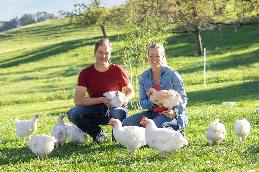 Freibank Metzgete
Diesen Freitag, 19.4 steht die nächste Metzgete an!😋 Metzgete vom Häppi Tschigg Poulet vom @hofamstutz aus Kaufdorf🐓!
Aline Gerber und Christoph Messerli legen sehr hohe Ansprüche an das Tierwohl und die Tiergesundheit, die Tiere bewegen sich in kleinen Gruppen und haben viel Bewegungsfreiheit, sogar inklusive Wintergarten😉
Von ihrer Arbeit sind wir voll überzeugt und freuen uns auf die erneute Zusammenarbeit🙏!
Es hat noch wenige freie Plätze🚨‼️
Falls dies für dich zu kurzfristig ist, steht in zwei Wochen bereits die Metzgete vom „Heidschnucken-Lamm“ an🐑 Das Lamm beziehen wir vom @stall_kilchhofer in Gurbrü🙏!
Wir freuen uns auf zwei tolle Metzgeten!🙌
Reservation:
Metzgete vom Poulet: Freitag, 19. April, ab 18:00
Metzgete vom Lamm: Freitag, 03.Mai, ab 18:00
5-Gang Menü à CHF 94.-
💻: Link in Story & Bio👆
📧: info@freibank.ch
📞: 031 333 14 40
#freibankbern
#wankdorfcity
#metzgete
#poulet
#lamm
#eatlocal