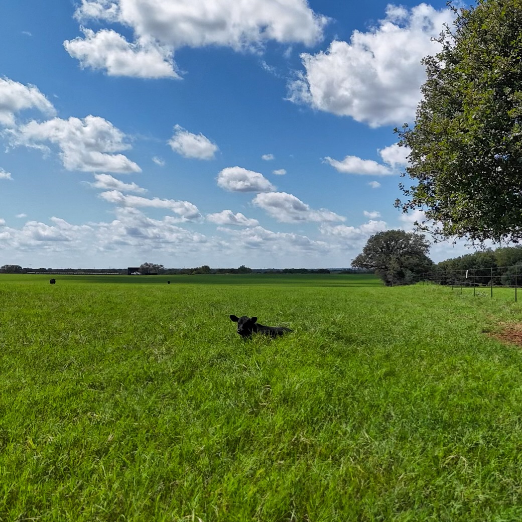 I spy with my little eyes 👀