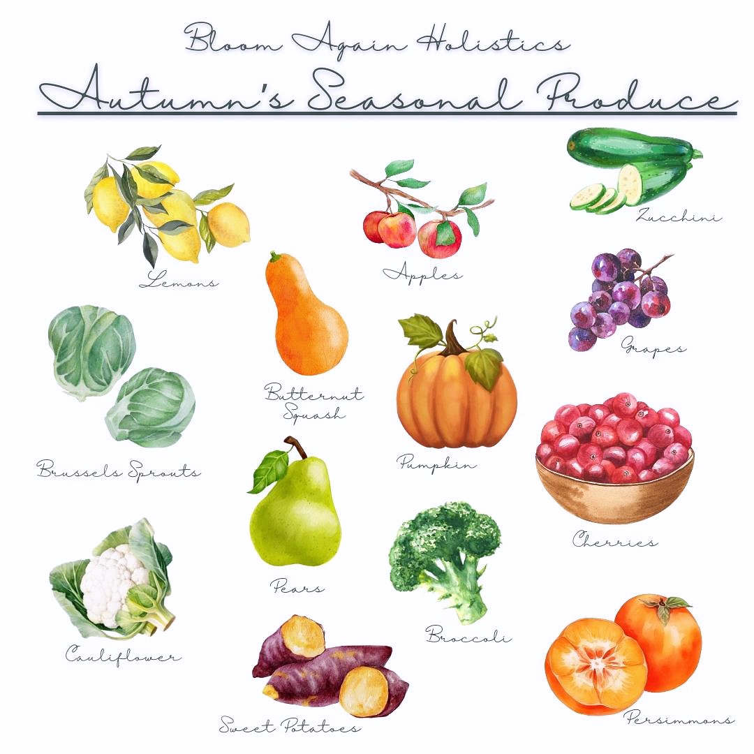 🌈🍇Eat The Rainbow ~ Autumn Addition 🥦✨
#eattherainbow #healthyfood #foodismedicine #holistichealth #seasonaleating #shoppinglist #holistichealing #holisticnutrition #bloomagain #bloomagainholistics