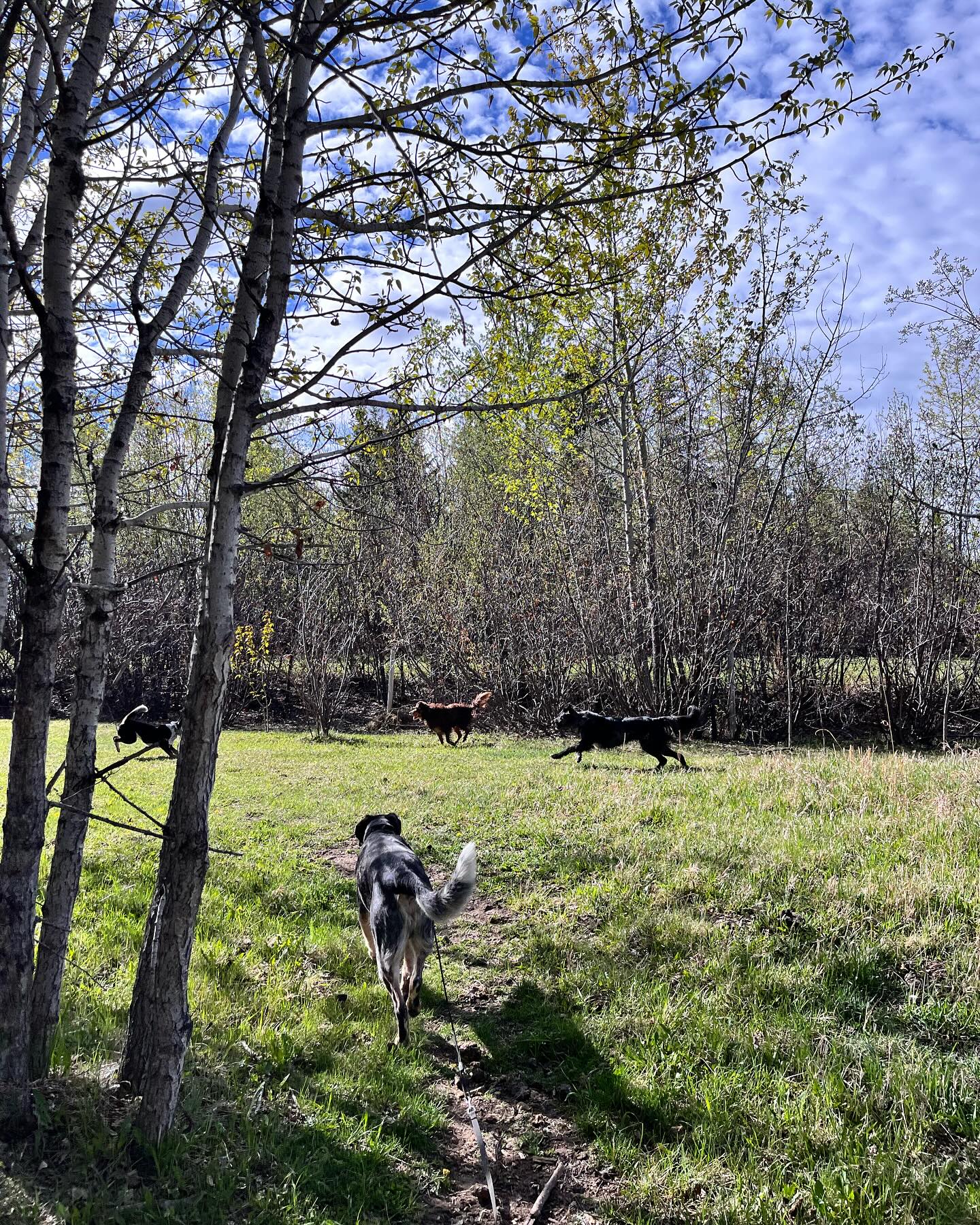 We’ve been loving the sunny days! 🐾