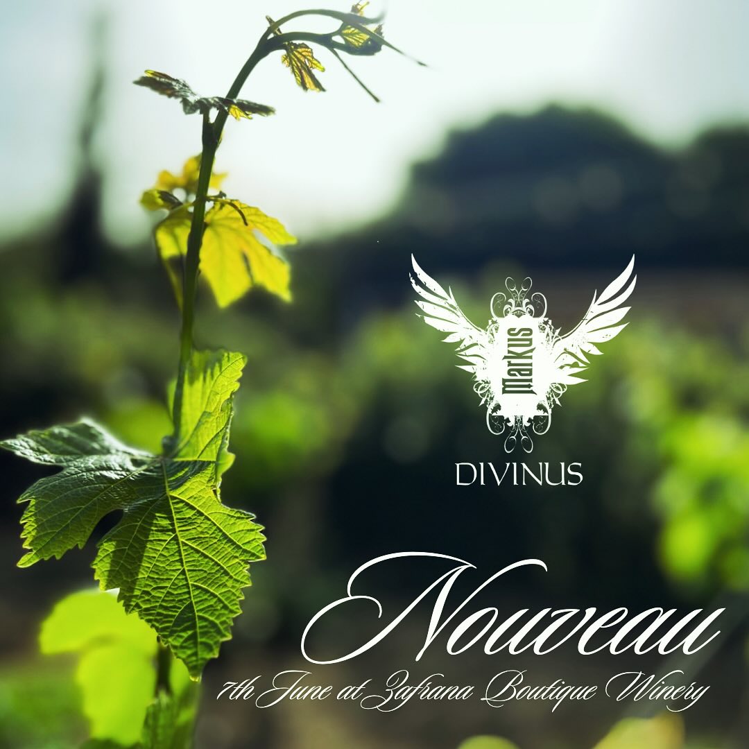 This exclusive event will showcase seven new vintages from Markus Divinus, including some straight from the barrel, thoughtfully paired with limited-volume artisanal cheeses and charcuterie. With seats at a premium, we encourage you to reserve your spot promptly and join us on the public holiday of 7th June to experience the essence of Markus Divinus winery.