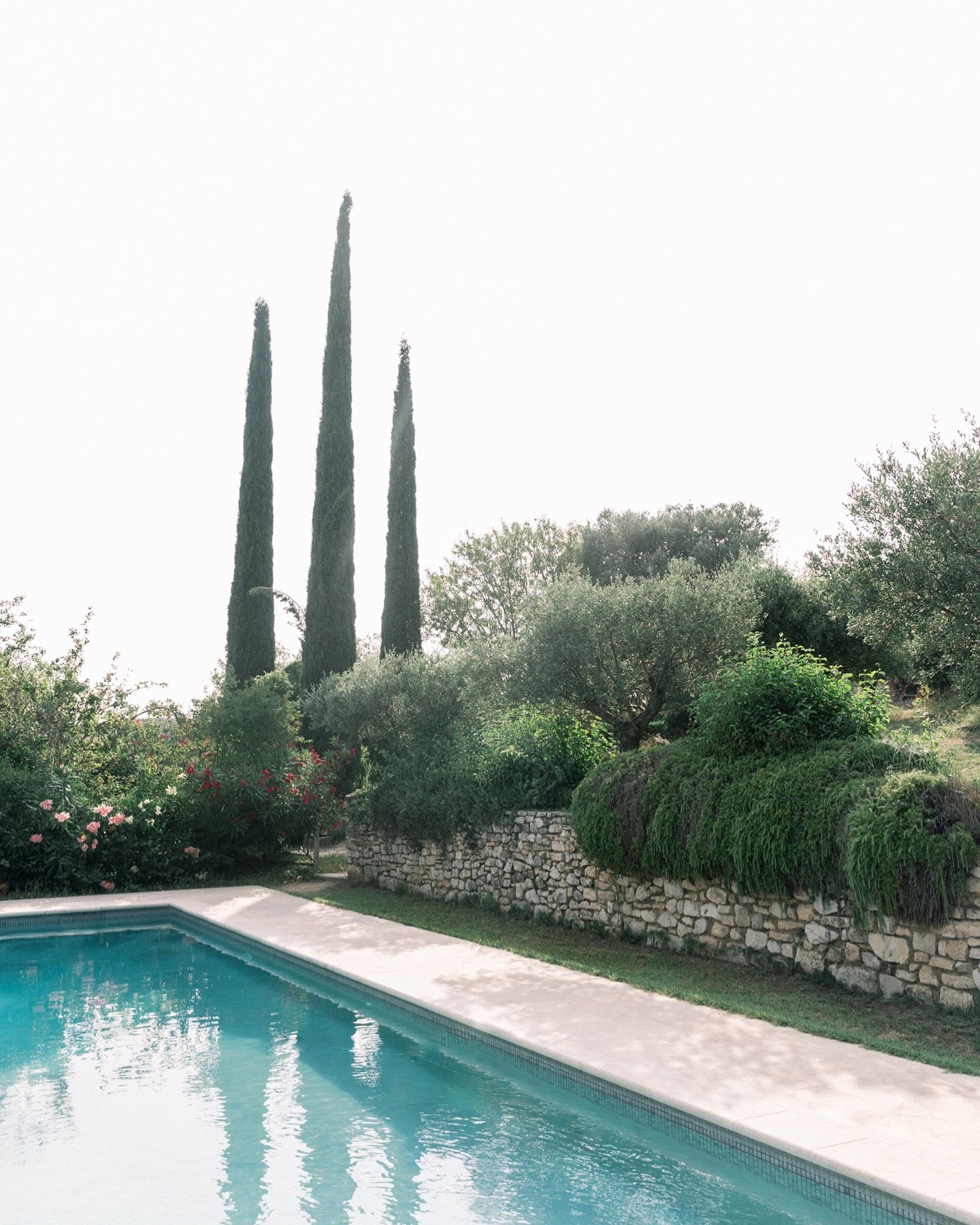 Provence mood ✨
Enjoy the sweetness of Southern France and it’s charming landscapes
Photography @cynthiareinkephotography
#weddingprovence #franceweddings #franceweddingplanner #provenceweddingplanner #bridestobe #destinationweddings #brides2025 #travelphotography #travelweddings