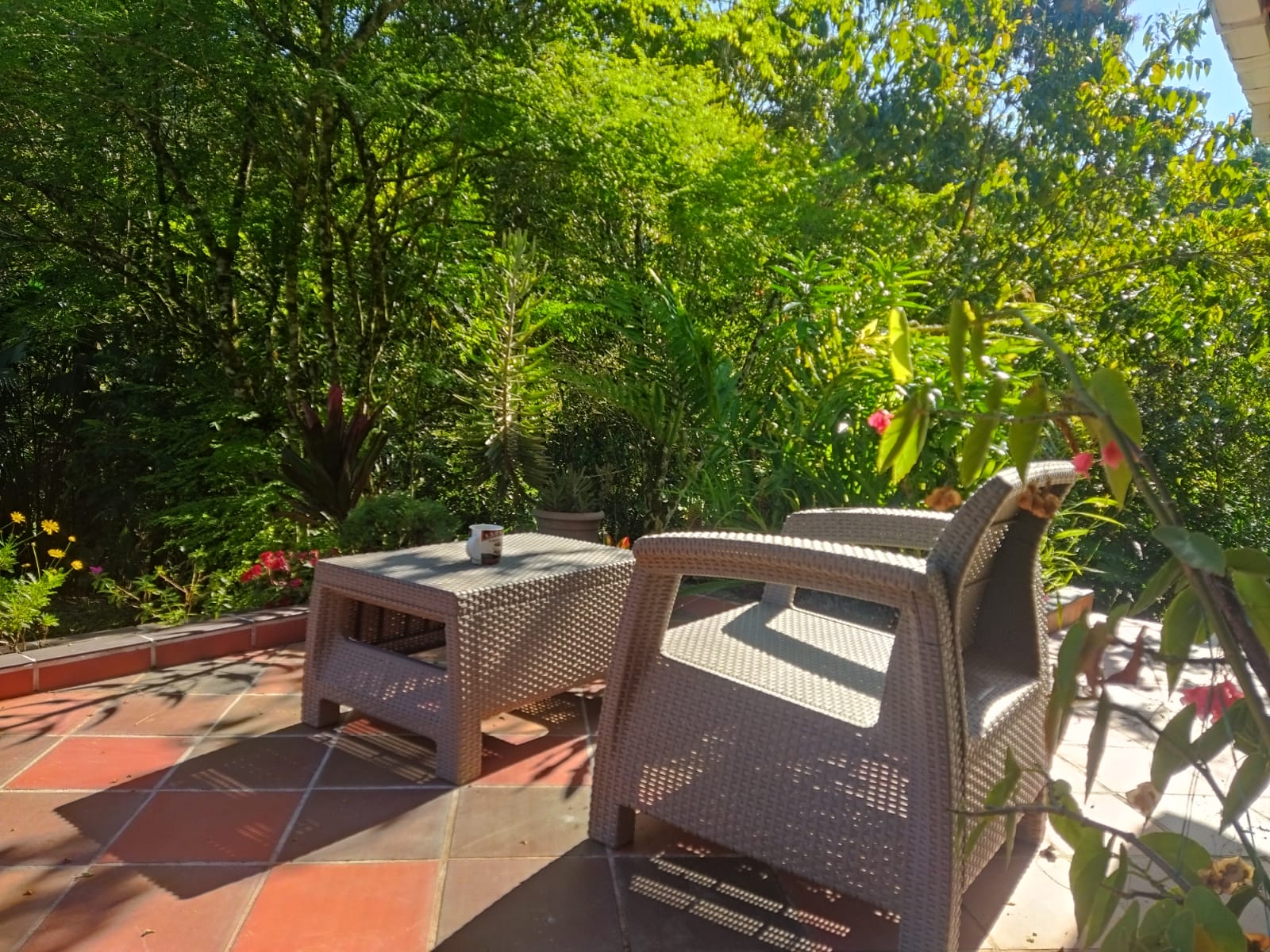 Rise and shine! Start your day in nature’s embrace. 🌄🍃
#ReservaLasCorrientes #Reserva #Hotel #Staycation #Finca #Naturaleza #Antiquioa #medellin #Colombia #DigitalNomad