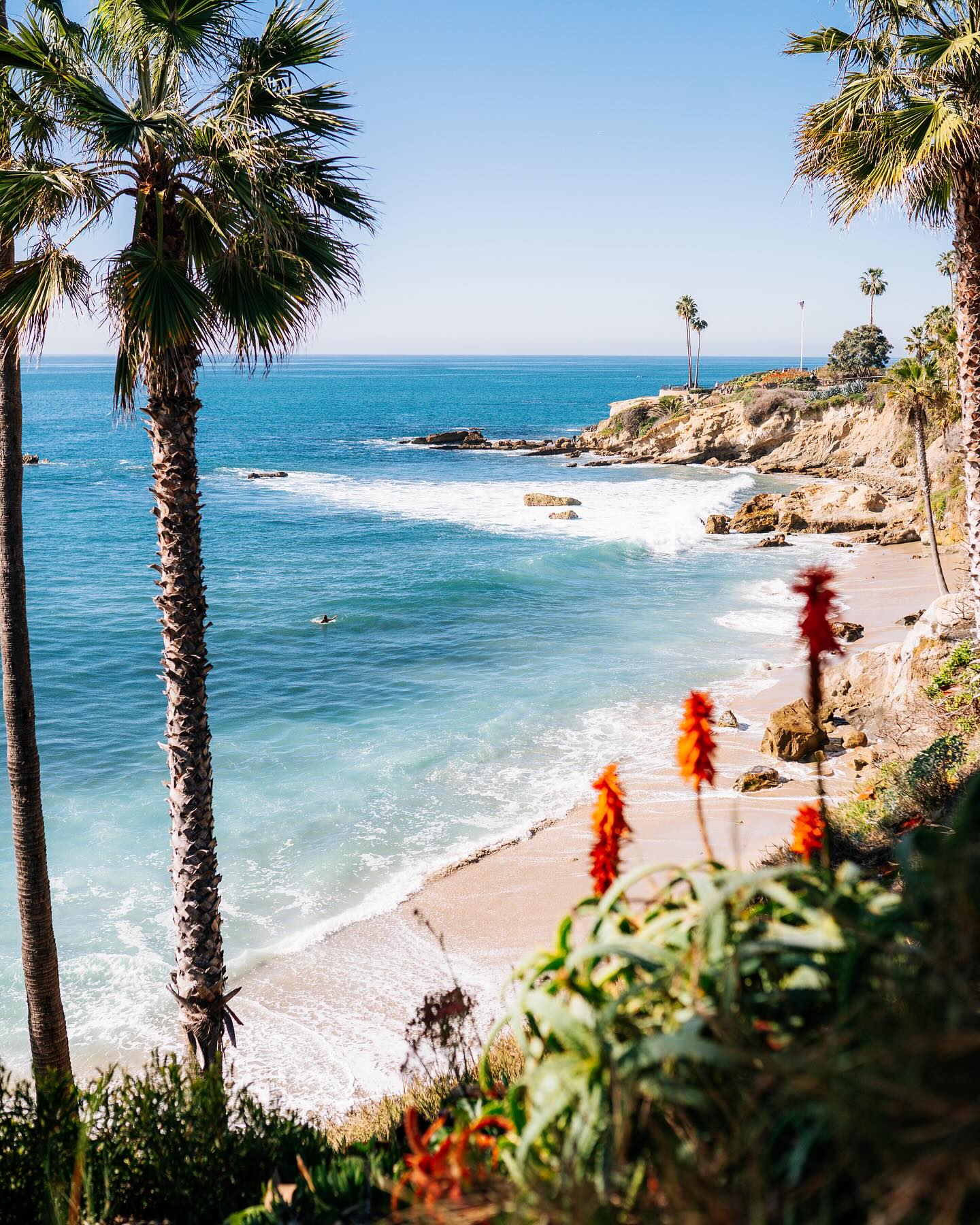 California dreamin‘ 🌴🧡🌞
📍Laguna Beach, California
Wir lieben Kalifornien, aber mit L.A. sind wir nie warm geworden. Zu groß, zu laut , zu voll, zu viel Stau… deswegen hat es uns nie südlicher gezogen, weil wir dachten O.C. Und San Diego wären auch so. Deswegen sind immer eher Richtung Norden Richtung nach Big Sur und co. gefahren. Auf unserem letzten Trip haben wir dann endlich mal O.C. Und San Diego einen Besuch abgestattet und wurden definitiv eines besseren belehrt. Es ist so schön dort, dort haben wir auch endlich die California life vibes gespürt die wir in L.A. nie gefühlt haben. 🧡 Es war einfach alles entspannter dort und ruhiger. Dann ist die Küste so schön schroff, man kann unzähliges Wildlife und Surfer beobachten. Ein Traum für uns. 😍
Habt ihr auch einen Ort/ Land von dem ihr positiv überrascht wurdet? Und wenn ja wo?
#californiadreamin #kalifornien #southcalifornia #lagunabeach #usareise #usatrip #reiseblog #reisetagebuch #visitcalifornia