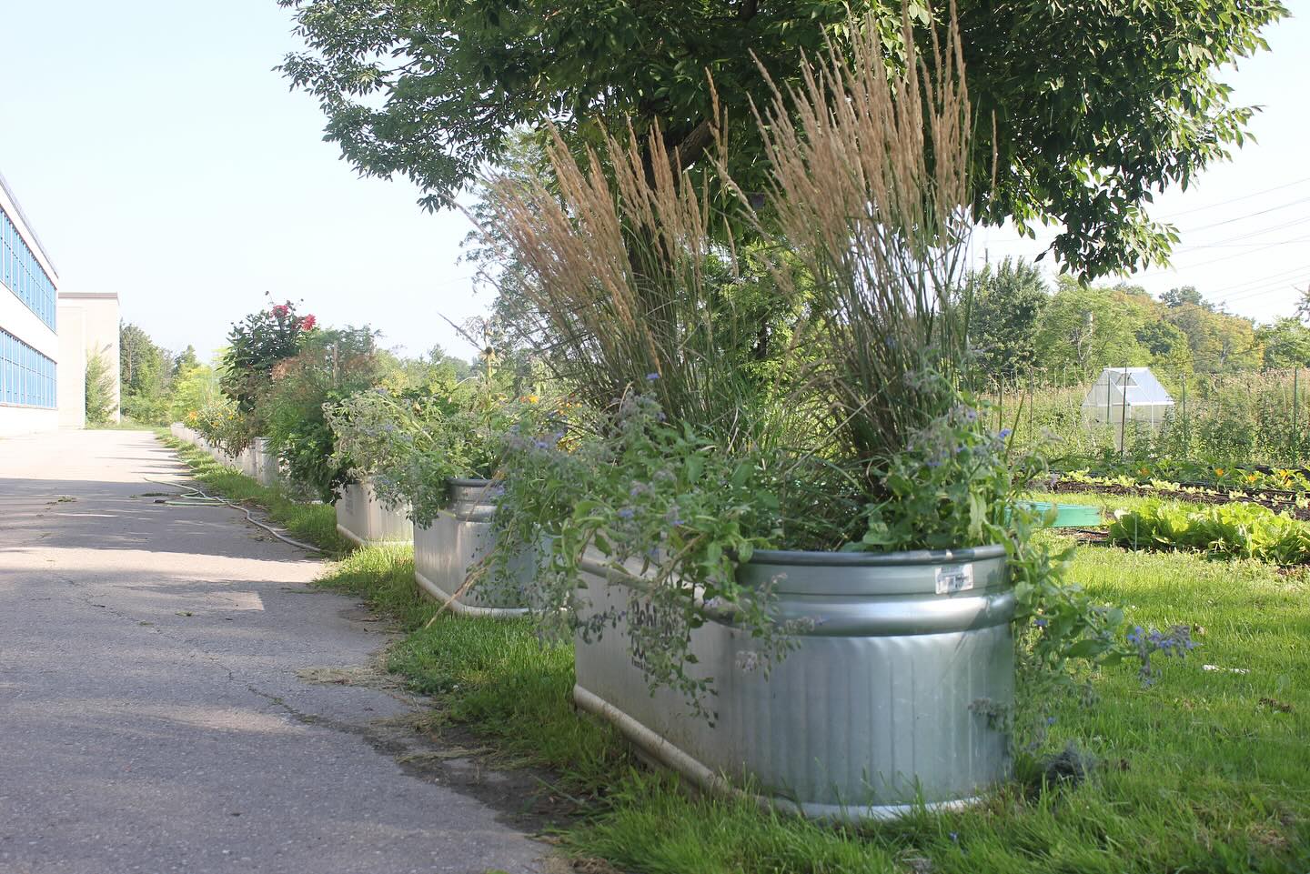 🌍 Every day, we’re working towards our vision of vibrant, thriving communities that are inclusive and accessible. Join us in creating a world where every person has the opportunity to reach their full potential. #Inclusivity #Community #PACT