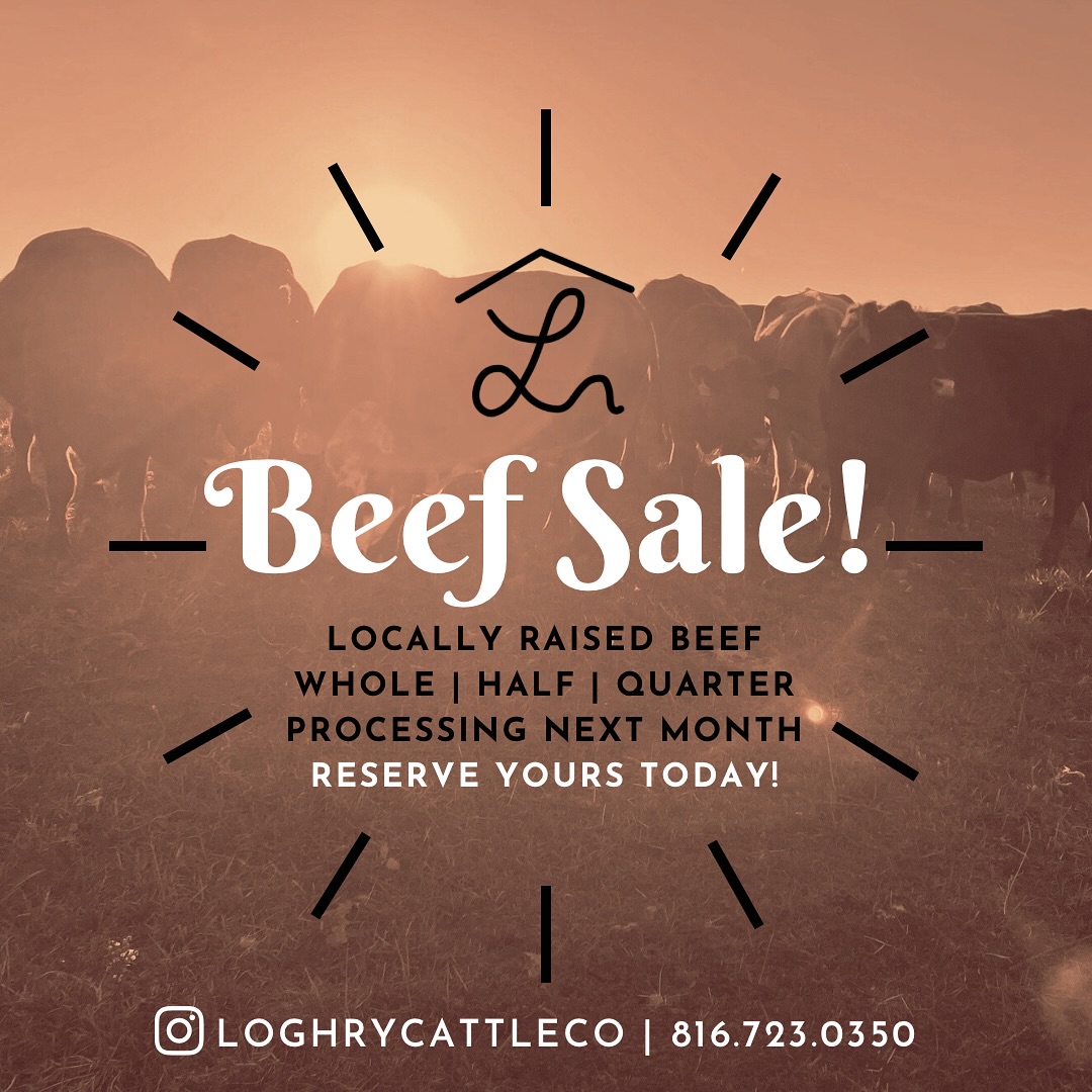 Getcha beef! Fill your freezer for winter! Processing in Sept or Oct 💚 Have you preordered yet??