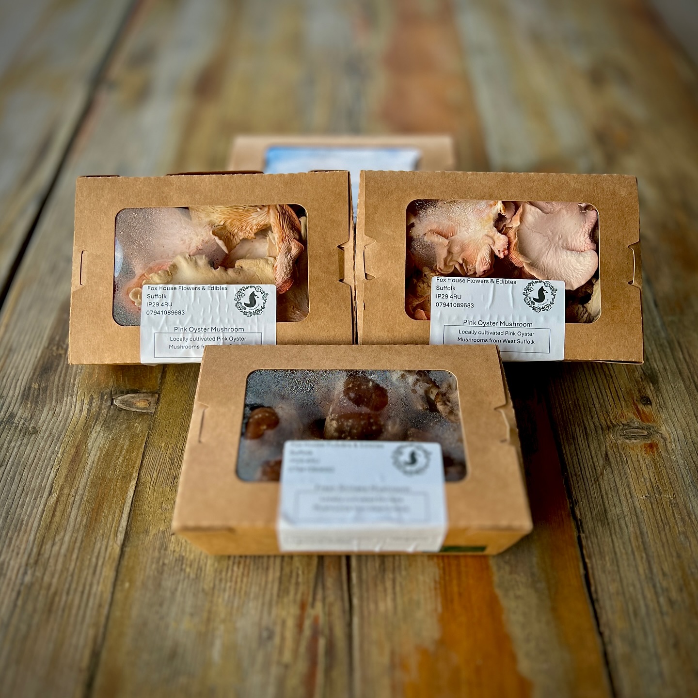 Fresh hand picked Mushrooms, grown in Stanningfield and delivered to us today.
We have Pink Oyster Mushrooms & Fresh Shiitake Mushrooms from @foxhouseflowers
.
Monday - Saturday: 9am - 5pm
Sunday: 10am - 2pm
.
www.hennesseylifestyle.co.uk
.
01284 386015
.
#supportlocal #coffeeshop #coffee #butterworth #tea #coffee #suffolkbutcher #butchers #butchery
#beef #lamb #chicken #pork #freerange #steak
#highwelfare #wine #finefoods #farmshop #wine
#gifts #shoplocal #bbq #summer #spring
#mushrooms