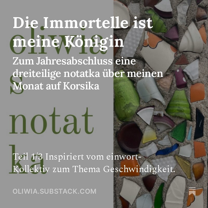 #oliwiasnotatka #12 zum Jahresabschluss schwelgen in Reisetage- und Nachtbüchern. Aus 60 Seiten Notizen ist eine dreiteilige notatka über meinen Monat auf Kosika entstanden. Für alle, die sich gerade auch jetzt mit anderen Themen beschäftigen möchten, als das was sonst so mainstreamig geht ... Link in Bio!
#substack
Teil 1 / 3 DIE IMMORTELLE IST MEINE KÖNIGIN Inspiriert vom einwort-Kollektiv zum Thema Geschwindigkeit. •30.08.23
• Sind bei Propriano
• Es ist wunderschön
• Ich sitze vor / unter einer Silber-Akazie / Mimosa / Sie blüht noch nicht / nicht mehr
• Ein Oleanderstrauch vor uns
• Coffee liegt in der Sonne und wenn es ihm zu heiß wird, geht er in den Schatten
• Es ist 10:54
• Auf dem Weg zum Strand riecht alles nach Immortellen / alle getrockneten gelben Kügelchen, die ich anfasse, riechen nach Curry ... #lesen #teilen #abonnieren #newsletter #chicoréegehörtzumeinemlieblingsgemüse