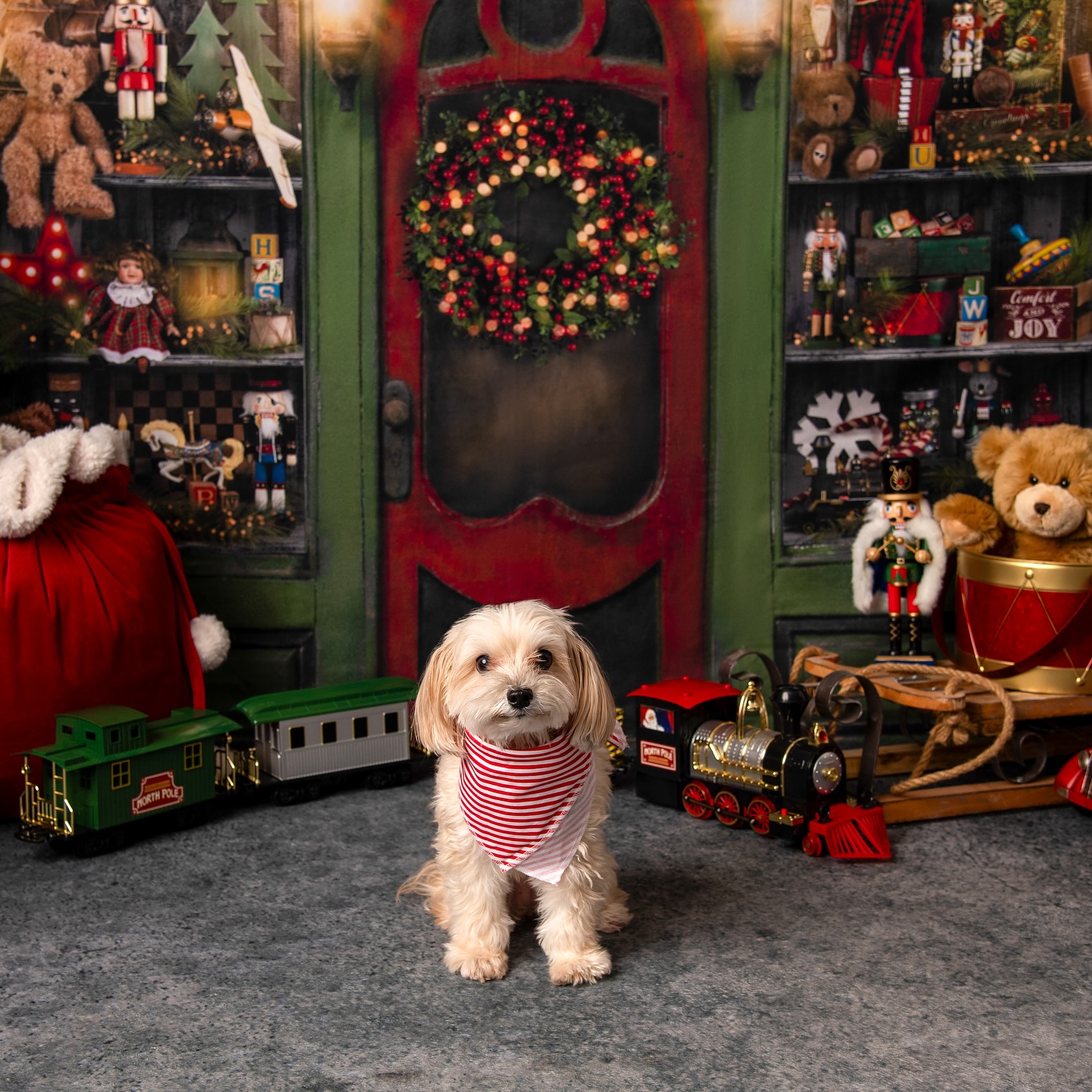 Our family is big on traditions. Each year I spend Thanksgiving morning cooking with my mom while watching the parade and Westminster dog show. It’s one of the moments I love the most that I’ll cherish forever. Today I’m so grateful I’m able to continue this tradition with my momma! 💝
We’re so blessed with amazing clients that become more like old friends than customers. We know that our success is in part due to them being our biggest cheerleaders. Today we give thanks for all of you! 🫶🏻
Please enjoy this photo of one of our newest clients, Coco, who is a wonderful model. 🥰
#tukephotography #tukefamily #orlandodogmom #orlandomoms #orlandodogphotographer #dogphotographer #dogphotoshoot #thanksgiving2023 #thankfulgratefulblessed