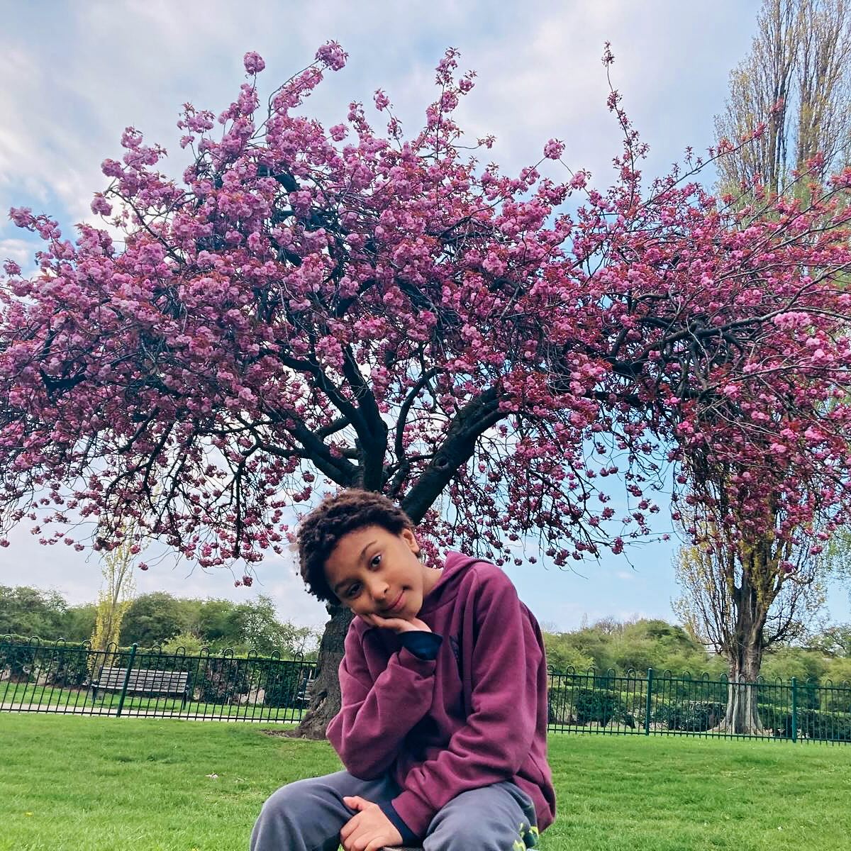 Back when there was still blossom everywhere, Rick took my favourite picture of Eli matching the trees