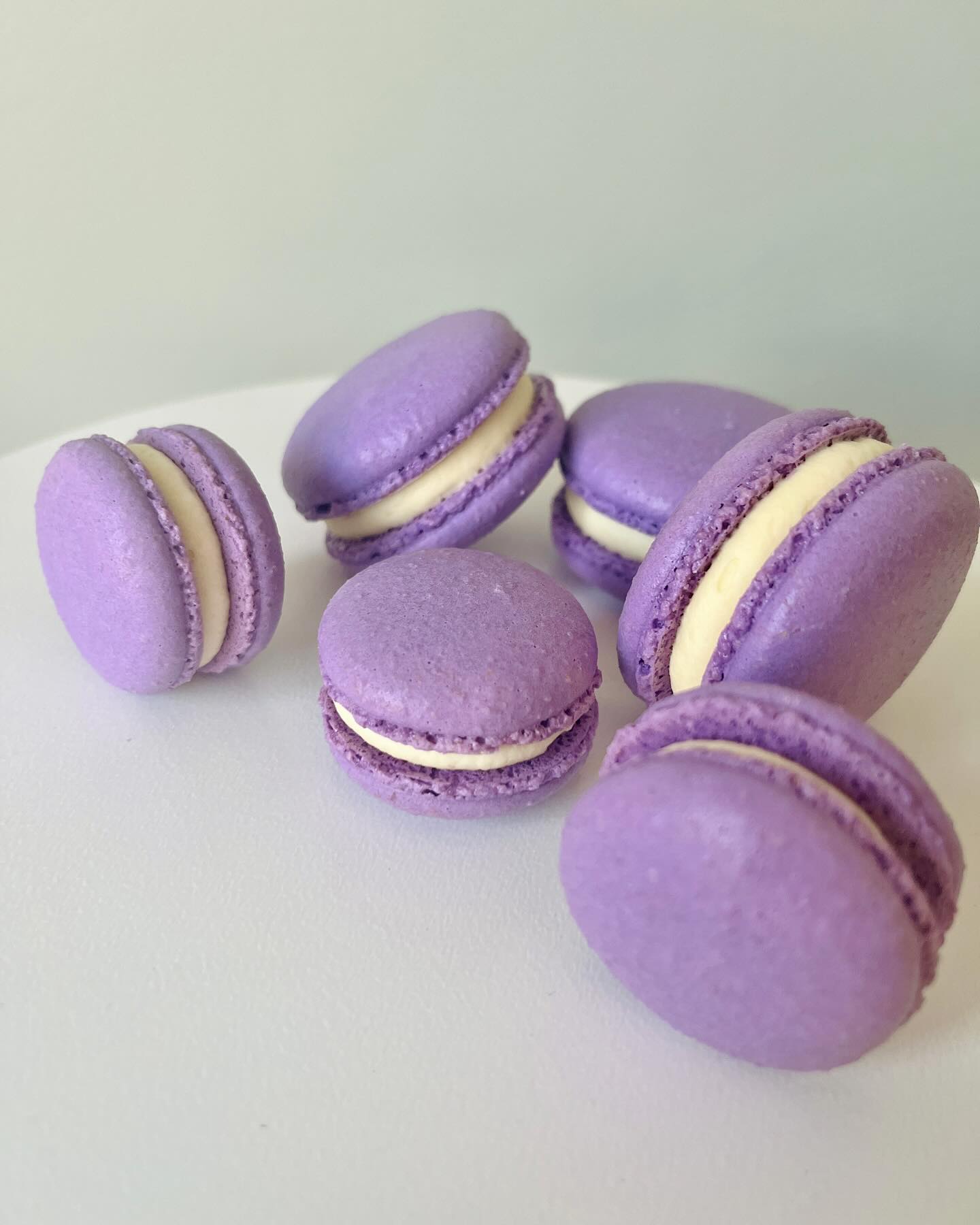 ✨Lovely lila✨
Deze lila macarons zijn gevuld met vanilleganache en dienen als decoratie voor een deel van de macarontaarten van dit weekend.
Macarons maak ik altijd een paar dagen op voorhand, want ze zijn het allerlekkerst na een tweetal nachtjes rijpen in de koelkast 😋
Benieuwd naar de taartjes? Ik deel zondag het resultaat 💜
#macarons #macaronlove #macaronlady #macarondeco #macarontaart #lilamacarons #vanillamacarons #gepersonaliseerdemacarons #zozoetmacarons #zozoet #oostende #macaronsoostende