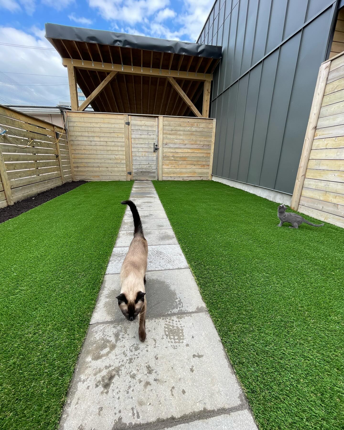 Start booking your turf projects in now! The whole family will love it.. Pets included 🐈