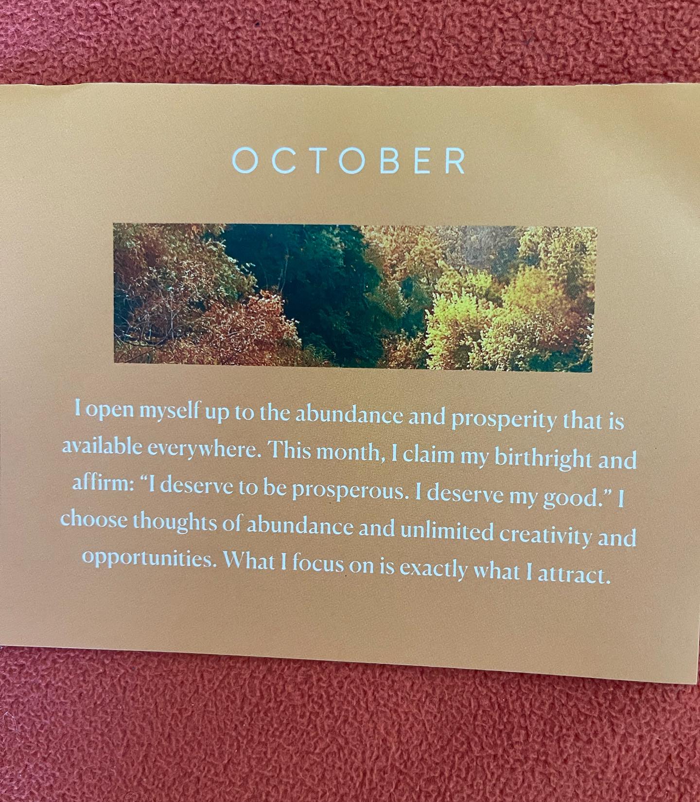Happy October! What you focus on is what you will attract.