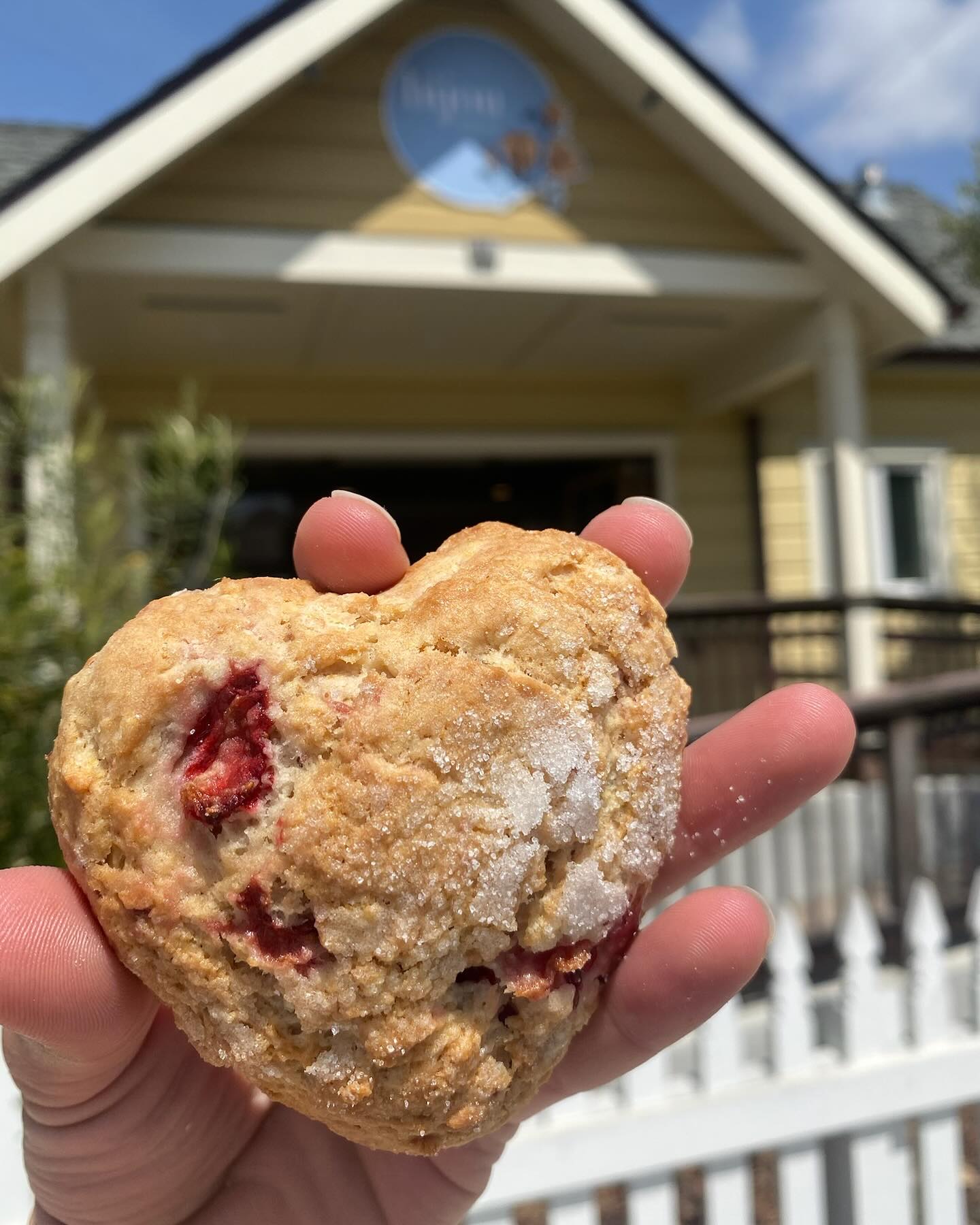 The wait is over! Spring is here and you know what that means…the strawberry scones are back! Come and get your favorite spring treat starting tomorrow!🍓🤗
#strawberry #scones #springequinox #cayucos #bijoubakery #happy #firstdayofspring