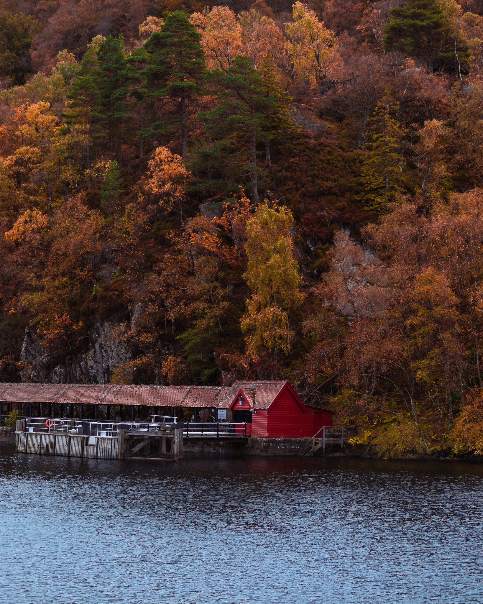 A pier leading to both the water & a season in full bloom.
#lochkatrine #scotlandautumn #visitscotland #fallcolors #autumnvibes #scenicviews #discovernature #explorescotland #highlandsbeauty #naturephotography #autumnlandscape #goldenseason #seasonalscenery #scotlandshots #autumnwalks #hiddenbeauty #hiddenscotland #pierperspective #natureinspired #wildernessculture #landscapephotography #autumnwonderland #tranquillakes #wildscotland #naturelover #scenicroute #fallseason #autumnpalette #scottishlandscape #scotlandtravel