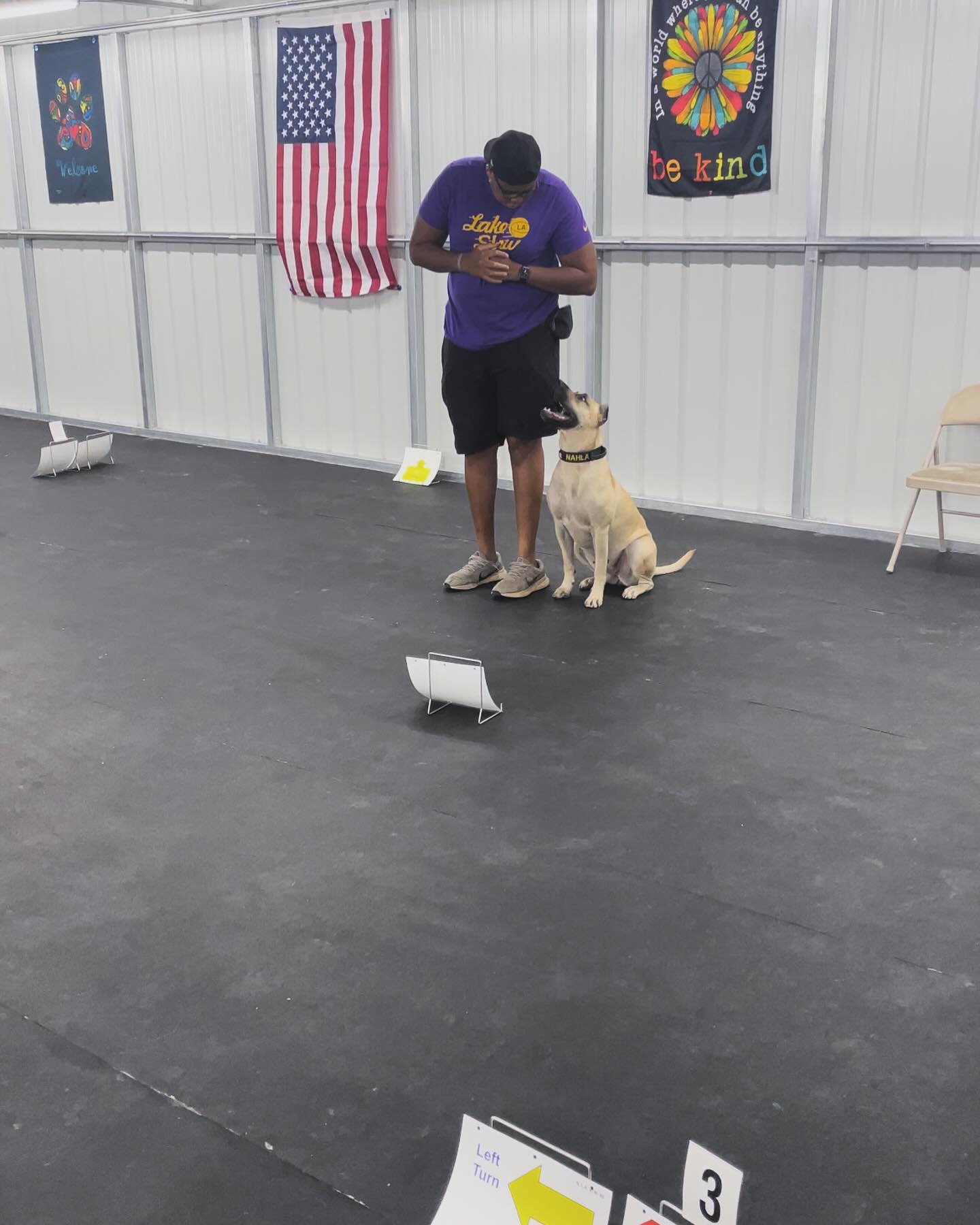 I got in the lab with my squad today! These two are everything I think a Presa should be: loyal, smart, protective, and obedient! Getting ready to really cook soon 👀
#workingdog #rallyobedience #agility #dogsport #obedientdog #presacanario #presa #raleigh #raleighnc