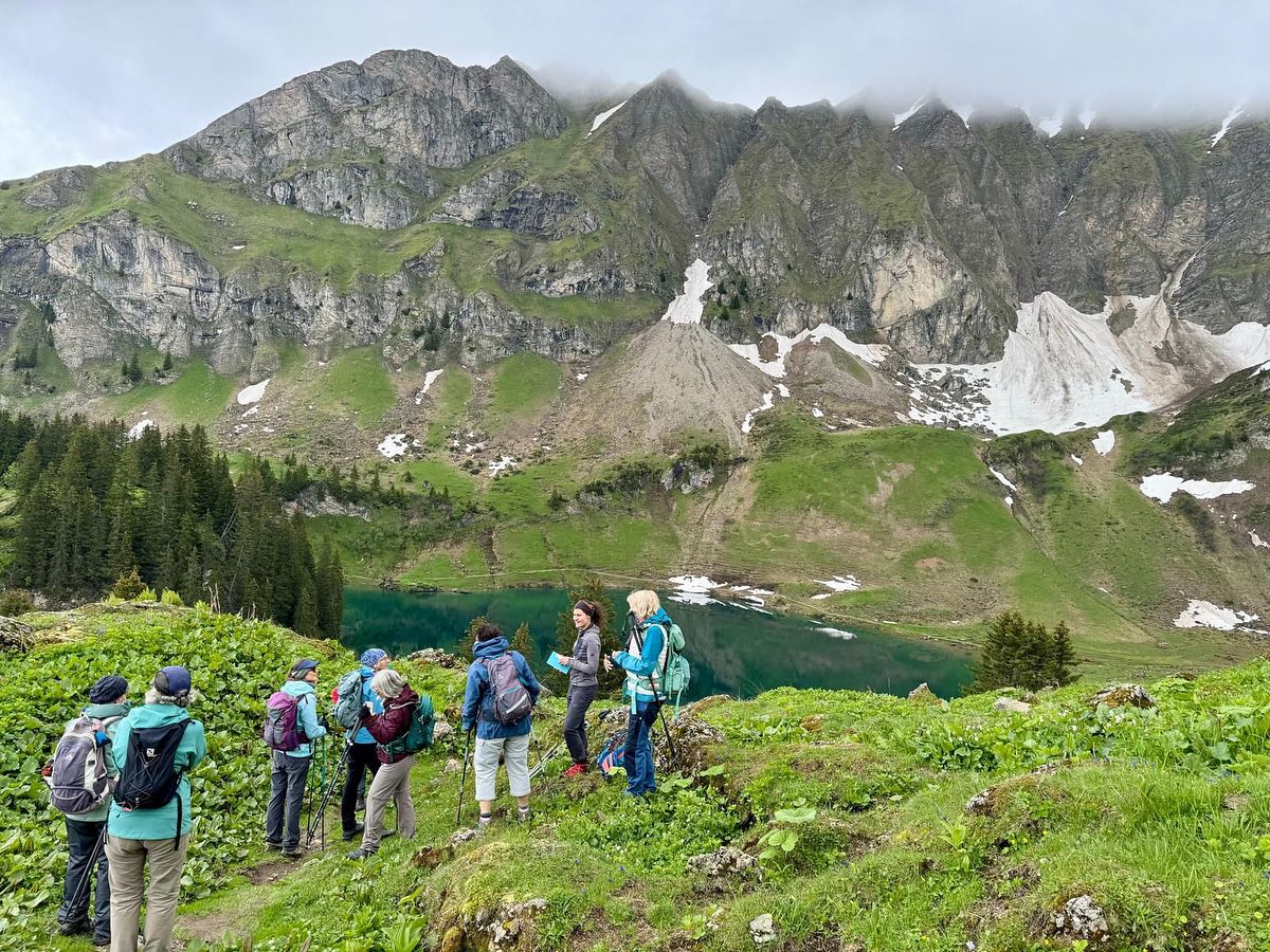 Un printemps humide ?
Ça n’a pas empêché petit•es et grand•es d’apprécier de randonner et de découvrir ces belles montagnes 🥾🌸
Toujours un bonheur d’être #accompagnatriceenmontagne
Vivement l’été ☀️ et bon solstice ✨
#nature #swissalps #rando
Dernière photo de @julien_schlaep et 2è de @noemie_petremand 🙏
