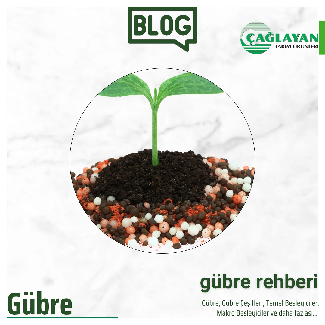 Toprağınızın gücünü artırmak ve bitkilerinizin sağlıklı büyümesini sağlamak için doğru gübre seçimi çok önemli! 💚 Çağlayan Tarım olarak, yeni blog yazımızda 'Gübre Nedir?' sorusunu detaylıca ele aldık. 🌱 Linke tıklayın, doğanın gücünü keşfedin! www.caglayantarim.com.tr/blog #ÇağlayanTarım #Gübre #Tarim #Peyzaj #Doğa #bahcenizinkahramani #caglayantarim #gubre #tarimurunleri #agriculture #sürdürülebilirtarım