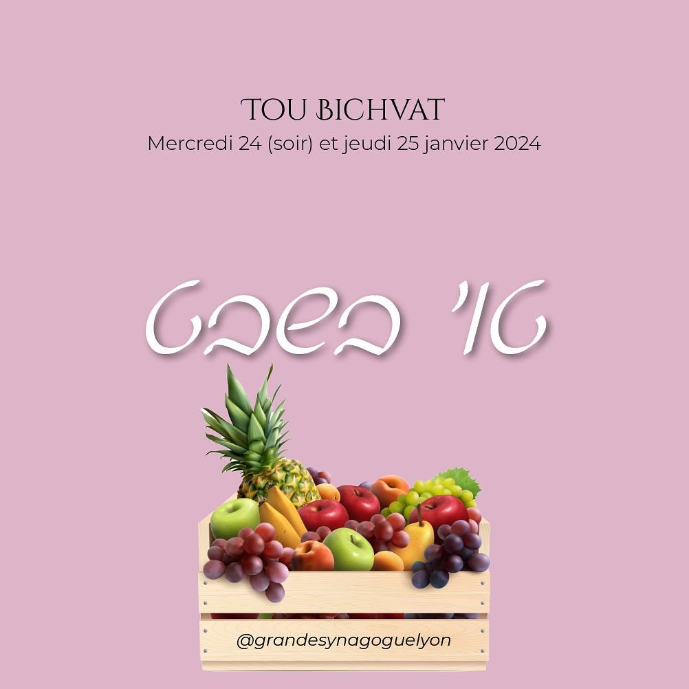 Toute l’équipe de la Grande Synagogue de Lyon vous souhaite de passer un bon Tou Bichvat !
#grandesynagoguedelyon #acitilsitt #toubichvat #fruits #communautejuive #juifs #lyon