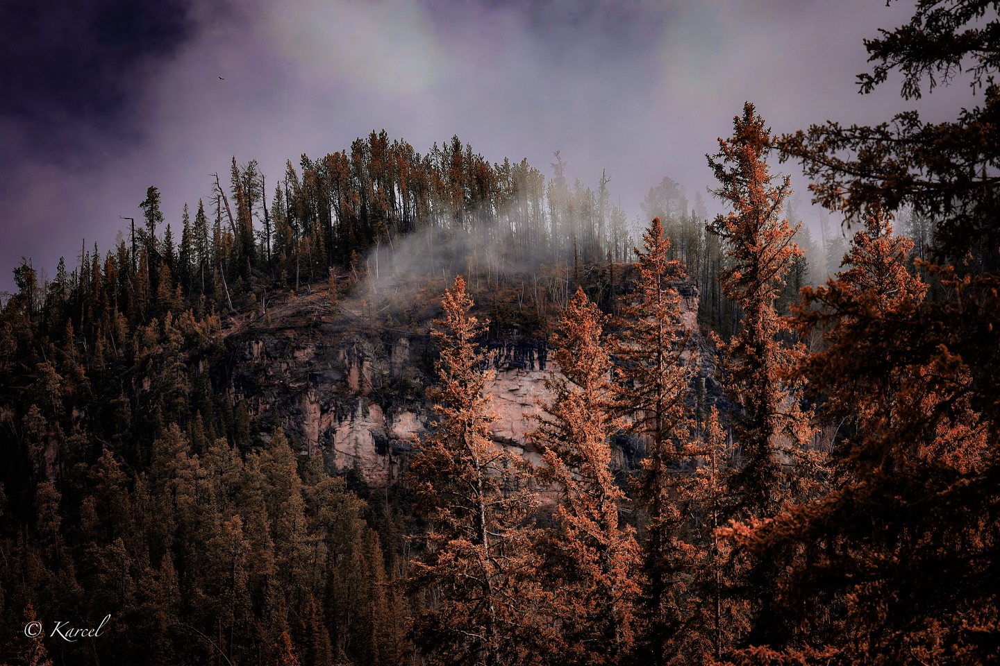 There’s no place like the blackhills. 🌲
Canon R5 & Canon RF 100-500mm f4.5-7.1 L IS USM
#blackhills #blackhillsnationalforest #blackhillssd #blackhillssouthdakota #landscapephotography #landscapes @blackhillsbadlands