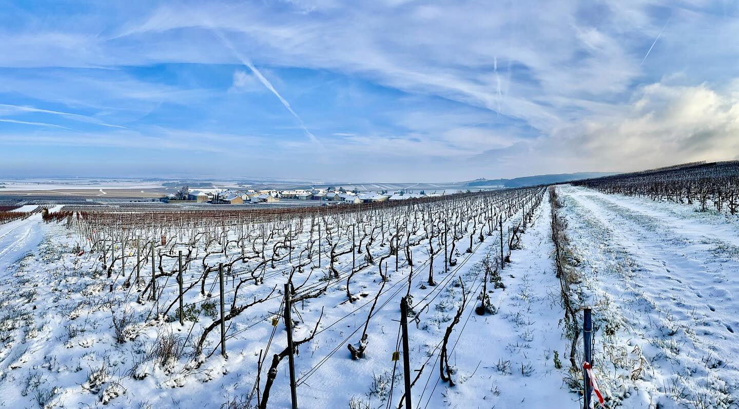 ❄️❄️❄️
#maillychampagne #champagnesouslaneige #quelachampagneestbelle #vigneronindependantdechampagne #champagnelucienroguet #champagnegrandcru