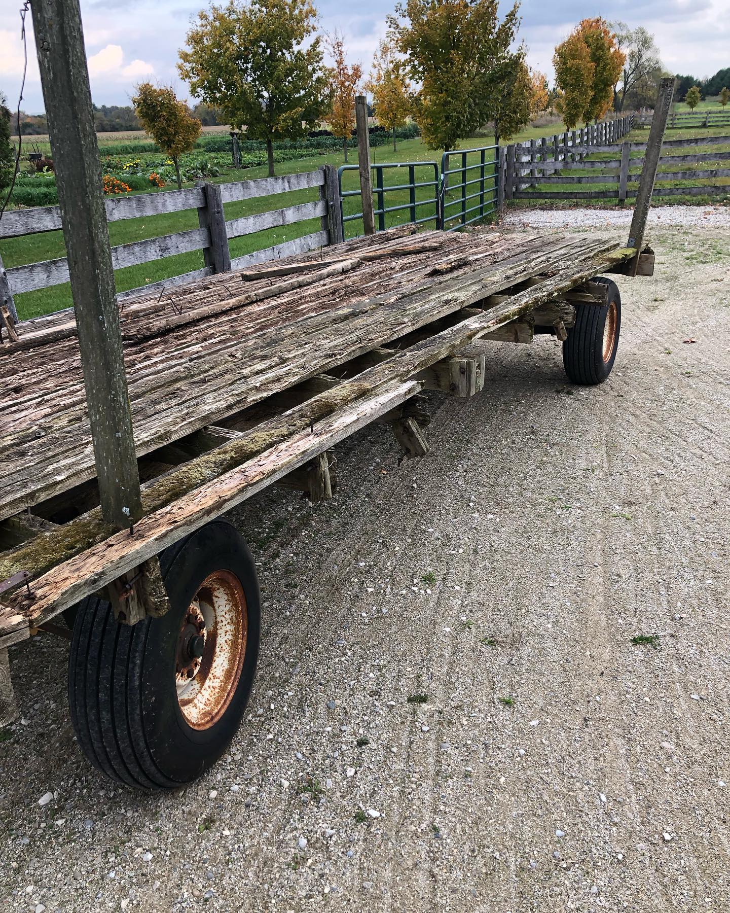 Gord thought we had enough junk at the farm, but stay tuned I’m going to make something beautiful! I hope.