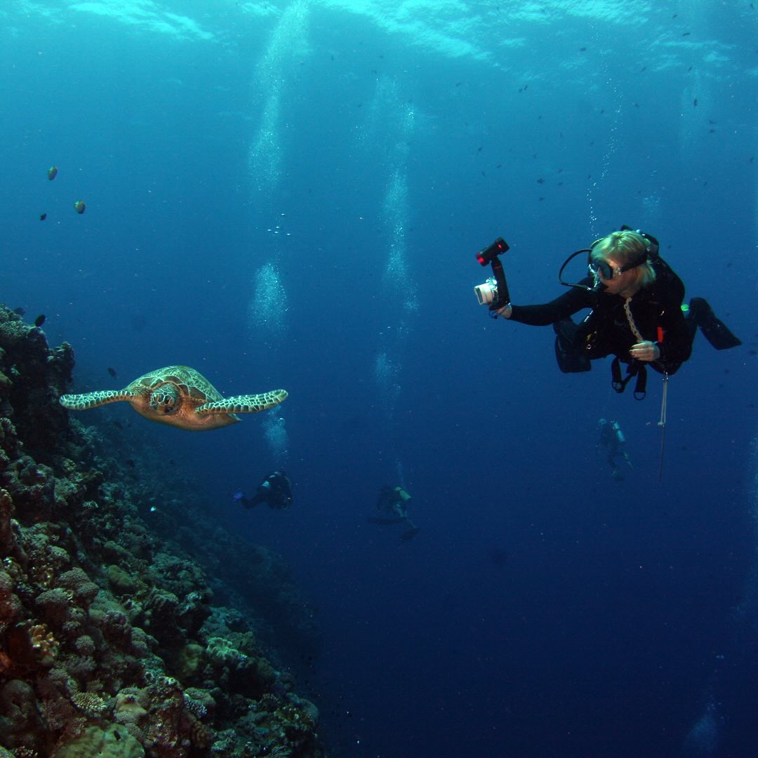 Few things compare to the beauty and serenity of ocean life 🌊✨
#ToothlessSpearfishing #FloridaSpearfishing #SpearfishingLife #SafetyFirst #Spearos #FloridaWaters #OceanHunters #DiveFlorida #SaltLife #SpearfishingAddict #GulfCoastSpearfishing