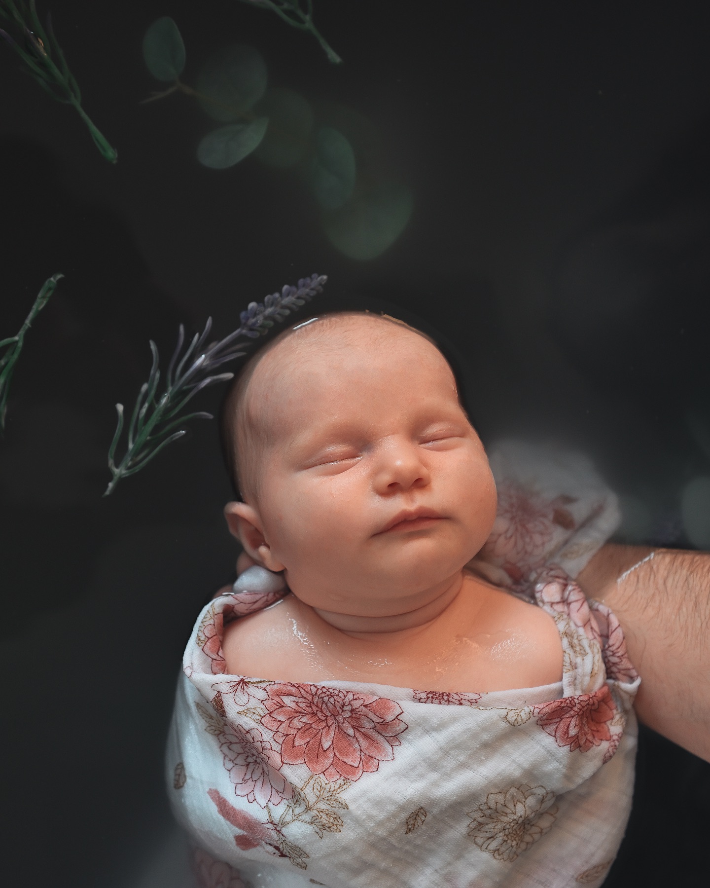 Hier, c’était le bain d’Olivia. ✨
Merci Pauline et Julien pour ce bon moment passé ensemble et de m’autoriser à publier les photos. 🫶🏻
Vous aussi vous voulez réserver ou offrir un bain enveloppé photographié ? ✨
Je me déplace à votre domicile à Vitry-le-François, Saint-Dizier, Châlons-en-Champagne, Reims et alentours.
💌 lecoconiris@gmail.com
🌐 www.lecocondiris.com
☎️ 06 01 43 29 62
#bainenveloppé #bainenveloppereims #bebe #reims #bebereims #naissance #naissancereims #photographereims #photographenaissance #photographenaissancereims #maman #mamanreims #reimstagram #maternité #lange #douceur #amour #cocon #bain #bienetre #bienetrereims