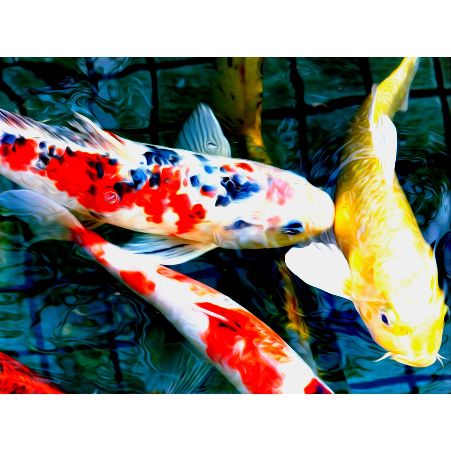 Beautifully Blemished✨
.
.
.
.
.
.
.
.
.
.
.
.
.
— “I am beautifully blemished”
#weareGodscreation #spots #speckled #blotches #imperfectlyperfect #nature #Godsthebestartist #positivity #inspirational #beautifullyblemished