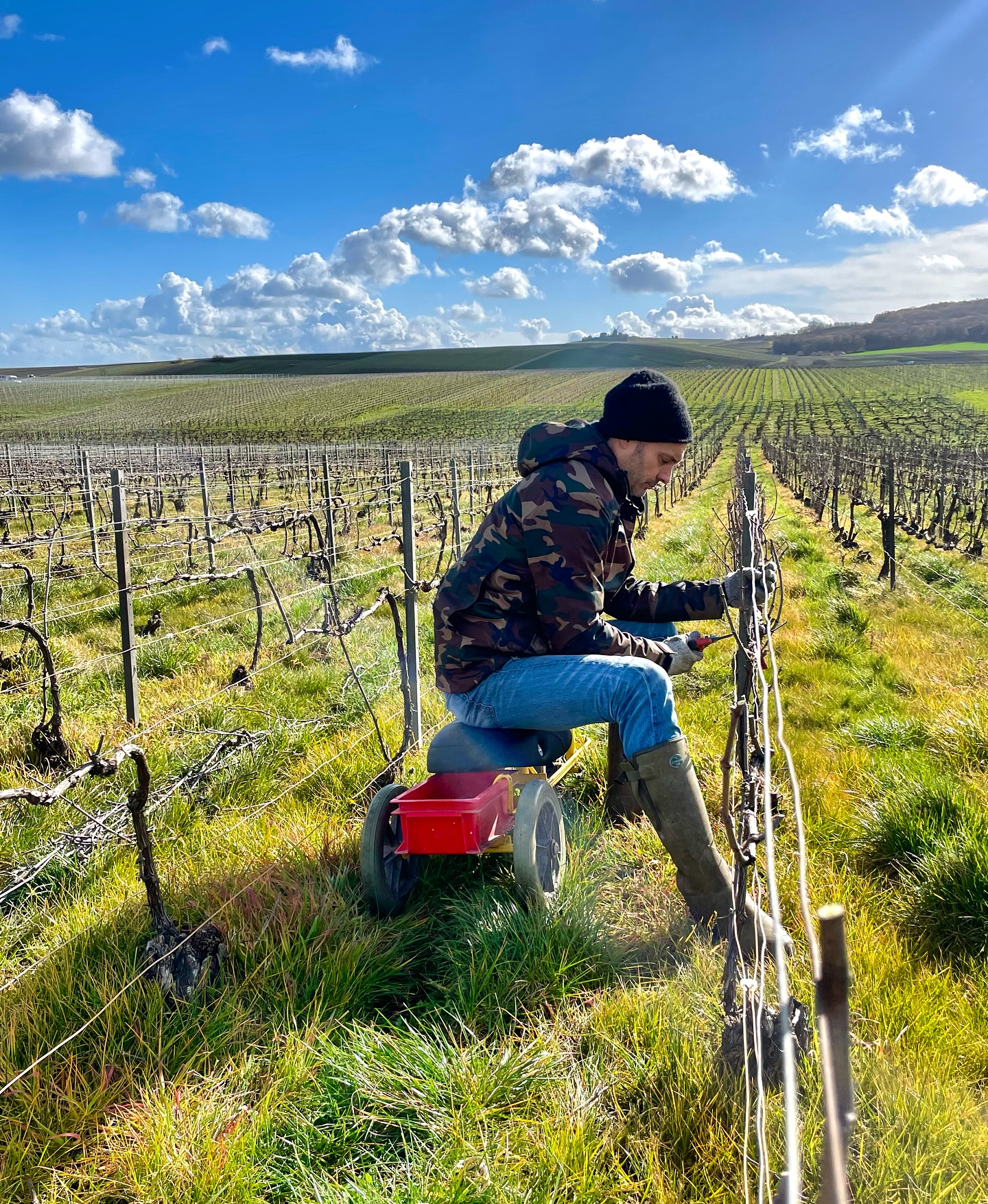 En attendant notre mise en bouteille annuelle, direction les vignes où la taille suit sont cours 🍇
C’est un travail de precision et de patience indispensable qui conditionne la qualité du raisin et de la future vendange 🍾✨
While awaiting our annual bottling, we head to the vineyards where pruning is underway. It’s a crucial job requiring precision and patience that determines the quality of the grapes and the future harvest. 🍇🍾✨
#champagnelucienroguet #champagnegrandcru #champagnefamilial #pruning #champagnelife #maviedevigneron #vigneronindependantdechampagne #instachampagne #vine #madewithlove