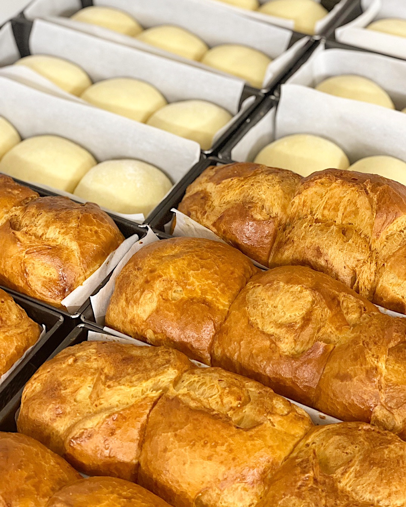 Câest dimanche ! Lâheure de la brioche a sonnĂ© đ
#brunchevous #brunchbox #food #waffle #waffles #pancakes #pancakelover #frenchtoast #brunch #foodinstagram #brunch #brunchtime #brunchhautesavoie #brunchdudimanche #packaging #stcergues #machilly #juvigny #veigy #veigyfoncenex #loisin #lucinges #bonsenchablais #douvaine #villelagrand #fillinges #nangy #bonne #bakerylife #cranvessales #bakery