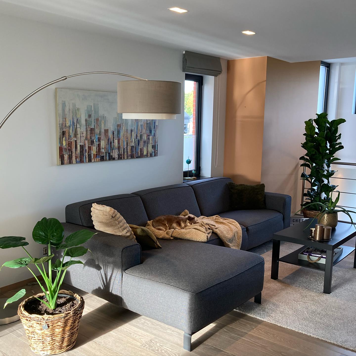 Mooie kleuraccenten…
#interieurinspiratie #kleurrijkwonen #accentmuur #sikkens #morpha #alphaxylan #gezellig #hedendaagswonen