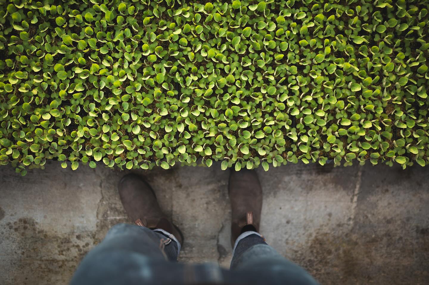 Put yourself in my shoes. 🥾