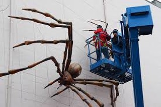 Happy Halloween!
After many years hanging out on the wall of theTidemark Theatre in Campbell River, “Itsy” and her mate “Bitsy” are retiring and coming to Vancouver. They’ll be hanging out in Studio 101 during the Culture Crawl and will then be looking for new digs. Arachnophobes be warned!