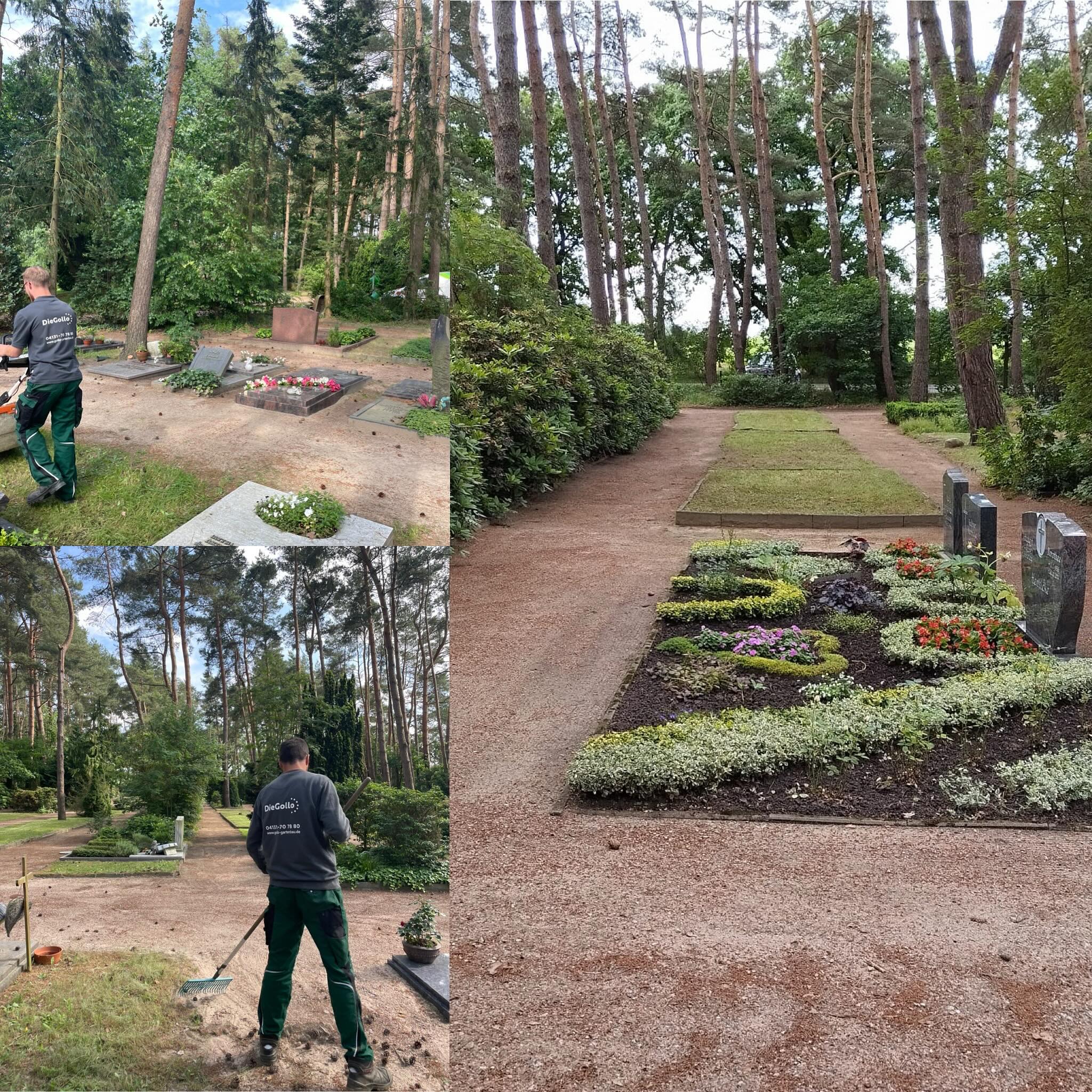 Die Gollo Garten- und Landschaftsbau übernimmt Friedhofspflege in Adendorf!
Wir freuen uns, bekanntzugeben, dass Gollo Garten- und Landschaftsbau nun die Pflege des Friedhofs Erbstorf in der Gemeinde Adendorf übernimmt. 🌳🌷
Grünpflege ist ein wichtiger Baustein unseres Gartenbaus, und wir sind stolz darauf, zur Schönheit und Ruhe dieses besonderen Ortes beitragen zu können. Mit unserer langjährigen Erfahrung und Liebe zur Natur sorgen wir dafür, dass der Friedhof Ebstorf ein würdiger und gepflegter Ort bleibt.
Folgt uns für mehr Updates und Eindrücke unserer Arbeit! 🌱💚
#Gartenbau #Landschaftsbau #Grünpflege #Friedhofspflege #GolloGartenbau #Adendorf #erbstorf #Naturpflege #Gartenliebe #Friedhof #GemeindeAdendorf #Reesegruppe #365tagefürsieimeinsatz