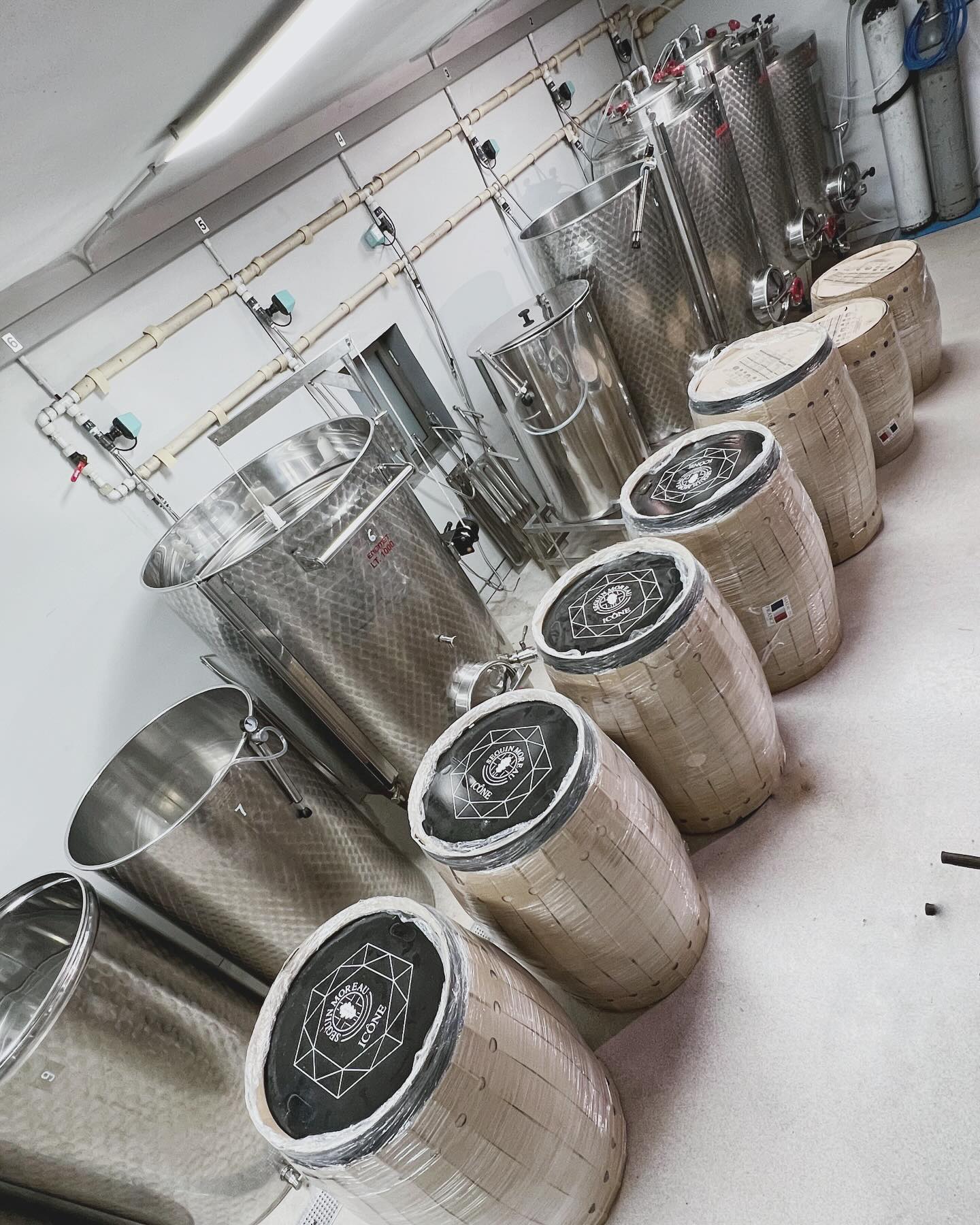 Exciting times ahead! We’ve just received our new oak barrels, ready for the 2024 vintage. Carefully selected to bring out the best in our wines, these barrels will add depth, complexity, and character to what’s to come. #2024Vintage #OakBarrels #WinemakingJourney #MarkusDivinus”