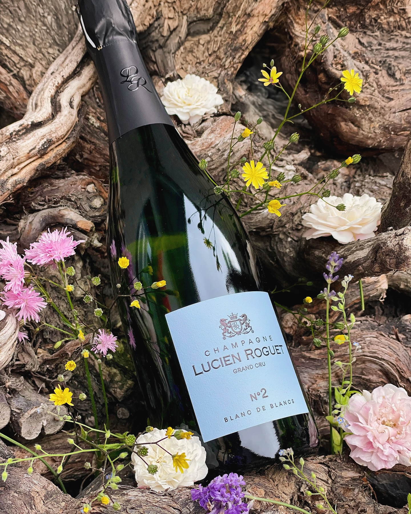 🇫🇷 Après quelques mois d’absence, nous avons le plaisir de vous annoncer que notre cuvée N°2 - Blanc de Blancs fait son grand retour. 🍾
Parée de son plus bel habillage, laissez-vous envoûter par son élégance, sa minéralité et ses notes boisées, harmonieusement mêlées aux arômes floraux, pour une finale délicatement anisée. À découvrir sans plus attendre ! 🥂
🇬🇧 After a few months of absence, we are delighted to announce that our cuvée N°2 - Blanc de Blancs is making a grand return. 🍾
Adorned in its finest packaging, let yourself be enchanted by its elegance, minerality, and woody notes, harmoniously blended with floral aromas, leading to a delicately aniseed finish. Find out, now ! 🥂
#champagne #grandcru #champagnedevignerons #vigneronindependantdechampagne #champagnegrandcru #maillychampagne #blancdeblancs #new #vindechampagne #terredechampagne