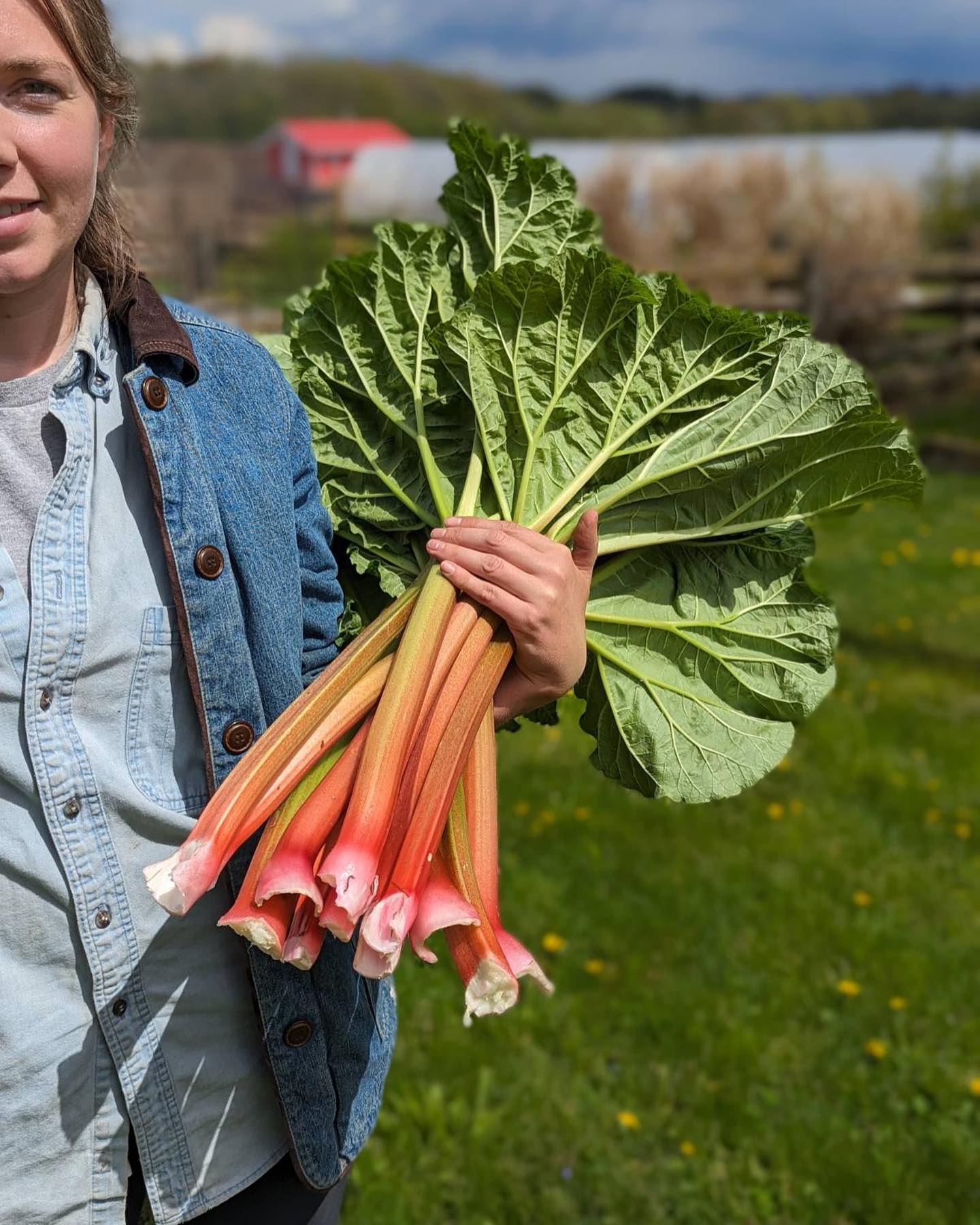 Perhaps my favourite pie ingredient. We will have lots at the @elorafarmersmarket tomorrow.