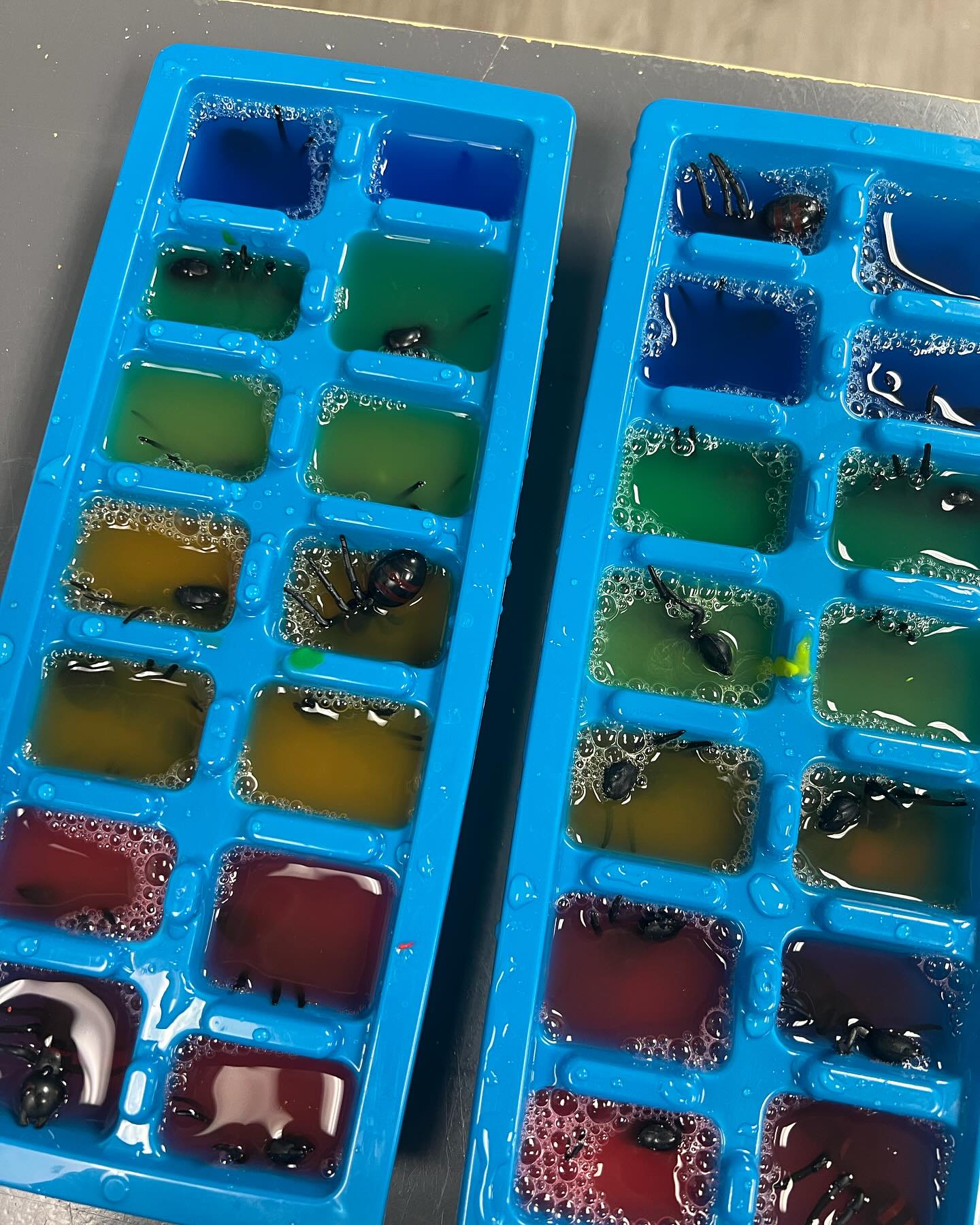 Are those giant ants in rainbow colored water waiting to be frozen? Why yes, yes they are.