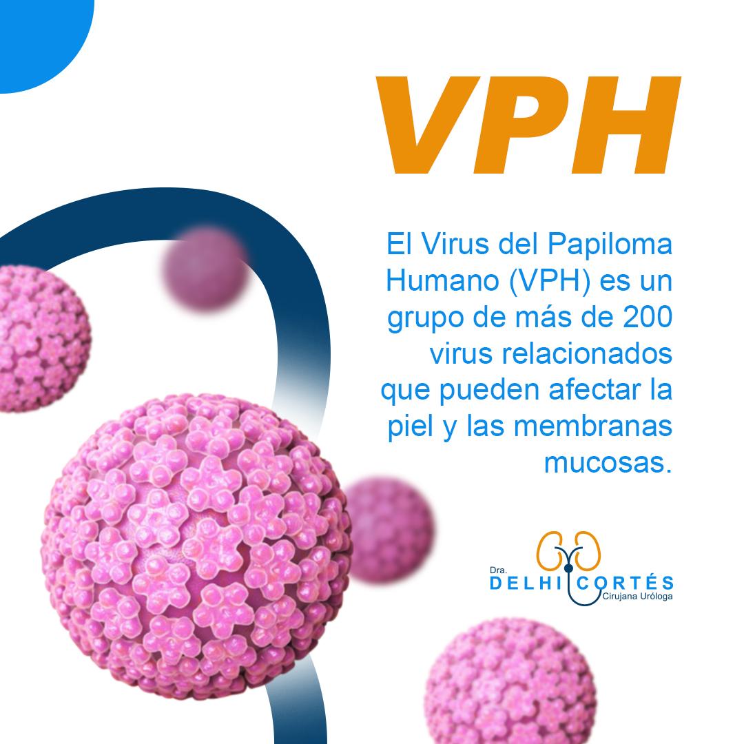 💉Existen vacunas seguras y eficaces para prevenir ciertos tipos de VPH que están asociados con el cáncer.
👉Es importante hablar con un profesional de la salud sobre las opciones de vacunación y pruebas de detección disponibles para protegerse contra el VPH y sus posibles complicaciones.
🙌La educación y la prevención son clave en la lucha contra el VPH y sus consecuencias para la salud.
Agenda tu cita 👇
⚕️Doctoralia: https://www.doctoralia.com.mx/yeniseik-delhi-cortes-vazquez/urologo/san-andres-cholula
📞 Teléfono: 222 227 2713
✅ WhatsApp: 561 213 3757
Dirección:
📍 Periférico Ecológico 3507, int. 1229, Col. Emiliano Zapata, San Andrés Cholula
Horarios:
🕗Martes y jueves de 16:00 a 20:00 hrs
🕗Sábados de 10:00 a 14:00 hrs
👩⚕️ Dra. Delhi Cortés
Médico general, C.P. 09137489
Especialidad en urología, C.P. 12342044
Certificación del consejo Mexicano de Urología, 1787
#urología #urologo #médicourologo #urologa #urologocholula #urologacholula #médicocholula #urologoTlaxcala #Puebla #Tlaxcala #Cholula