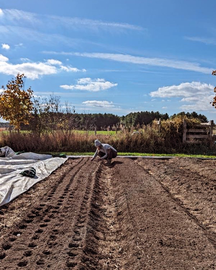 Hello everyone! This is Lauren. I’m so excited to be growing your food this season.
This is a photo from my first planting at Mackay Farms in October. We planted 1600 cloves of garlic to be harvested in July 2024.
Lots of local garlic coming your way!
#eatlocal #elorafarmersmarket #naturallygrown