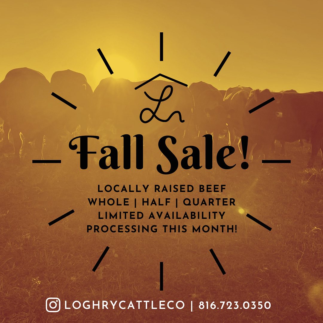 We still have a few slots for this month and next. Call today to stock your freezer for the winter! #eatbeef #cattle #cattleranch #anguscattle #angusbeef #westonmo #farm #farmlife