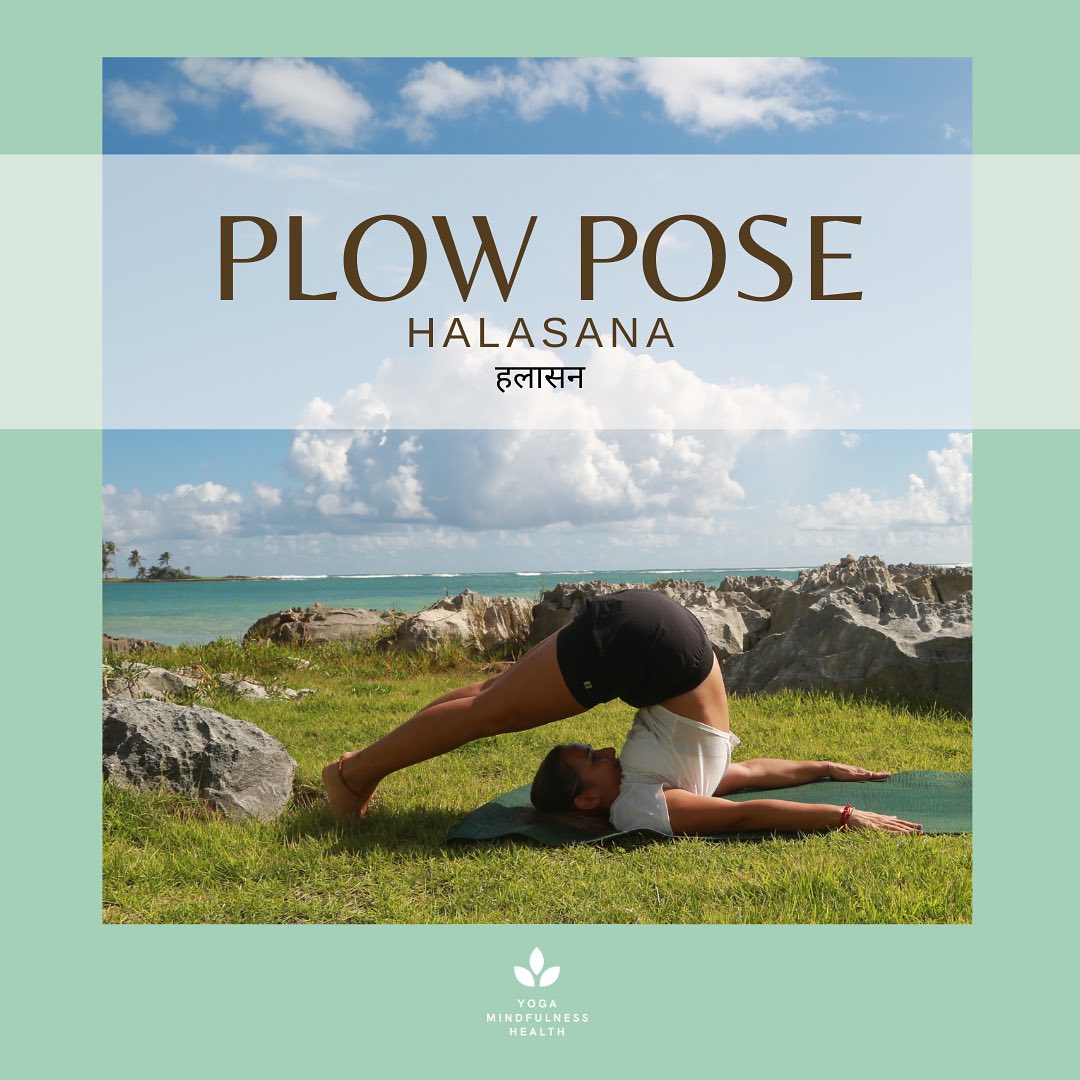 Plow Pose Exploration: Halasana हलासन
From spinal flexibility to thyroid stimulation, this beautiful asana offers benefits for body, mind, and spirit. Dive into the blog to uncover the transformative power of Halasana! Click the link in bio and let’s embark on this yoga adventure together. 🫶
#yoga #asana #exploreasana #learnasana #learnyogapose #studyyogapose #plowpose #halasana #yogabenefits #selfcare #renewal #balance #yogalife #wellnessjourney #yogajourney #mindfulness #yogainspiration #yogadaily #yogacommunity #lasgaleras #dominicanrepublic #lasterrenas #samaná