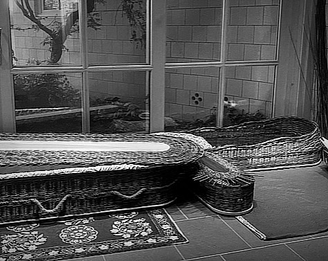 Caskets large and small, and “the river”burial tray to be paired with a shroud.
#willowcasket #willowcoffin #naturalburial #greenburial #sustainable #willow #handwoven #appalachiangrown #madeinnc #womeninbusiness #handmade #basketry